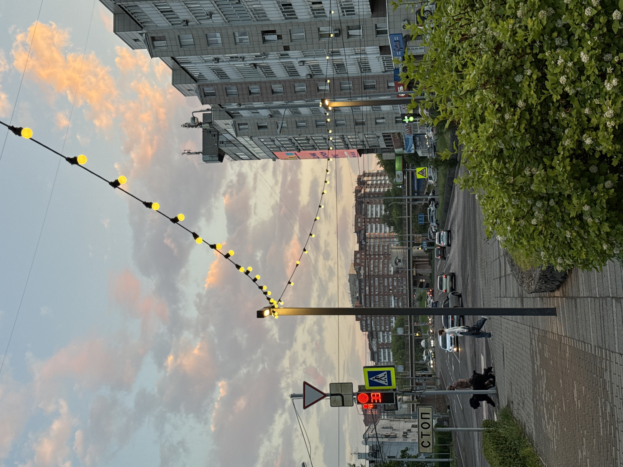 The image shows a street scene in Krasnoyarsk, Russia, at dusk. A traffic light is red, and a pedestrian crossing sign is visible. A woman is walking across the street with a dog. Several cars are on the road, and buildings line the street. String lights with yellow bulbs are strung across the street, and the sky is filled with pink and orange clouds. The overall impression is one of an urban environment at the end of the day, with a sense of calm and twilight.