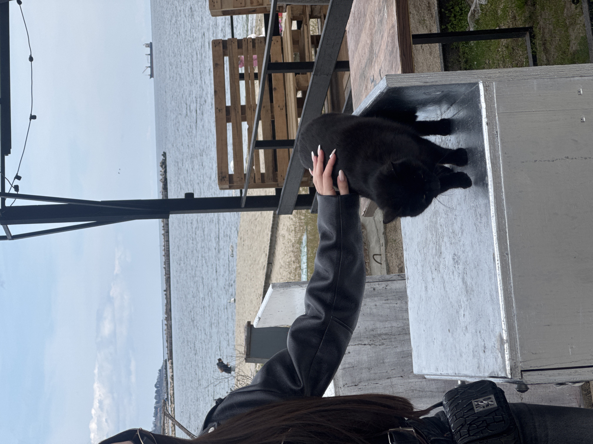 A vertical, medium shot shows a person petting a black cat on a silver metallic surface near the sea. The person, seen from the shoulders down, wears a dark jacket and has long brown hair. Their left hand rests on the cat's back; the hand features long, manicured nails. The black cat stands on the metallic surface, facing away from the camera, with its tail visible. Behind the cat, wooden pallets create a barrier. The sea stretches into the background, with a ship visible on the horizon under a cloudy sky. A sandy beach borders the water. In the lower-left corner, black metal framework is visible, possibly part of an outdoor seating area. The location appears to be a waterfront area, possibly in Varna, Bulgaria, given the coastal setting and architectural elements.