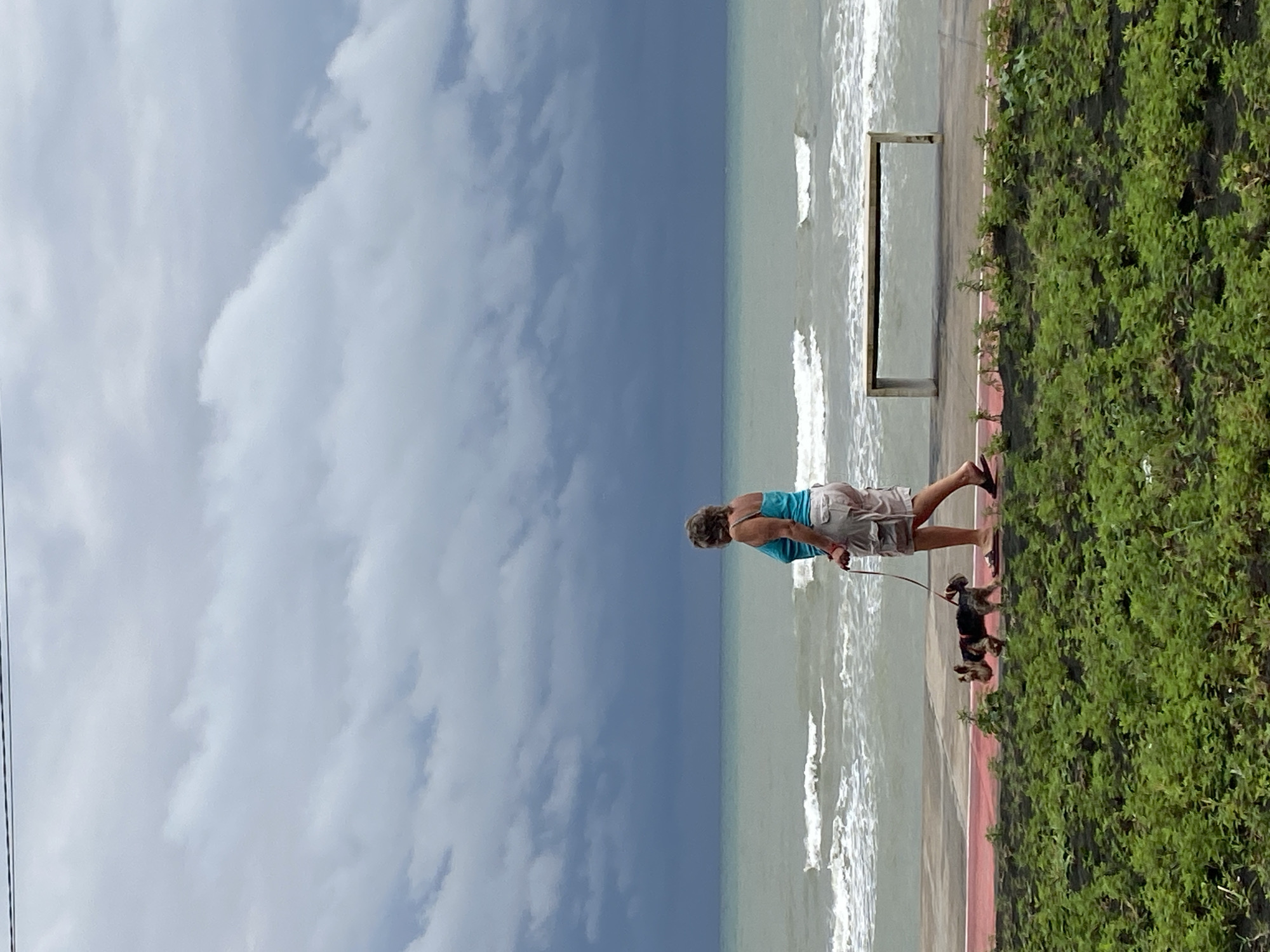 A woman with graying hair, wearing a teal tank top and beige cargo shorts, walks a small, dark-colored dog on a leash along a paved walkway bordering a beach. The dog is walking ahead of the woman. The walkway has a red border. In the background, the ocean is visible with moderate waves and a cloudy, dark sky. A concrete bench is situated on the walkway overlooking the ocean. In the foreground, there is a bed of lush green plants. The scene appears to be the Black Sea coast in Ureki, Georgia, a location known for its magnetic black sand beaches and therapeutic properties.