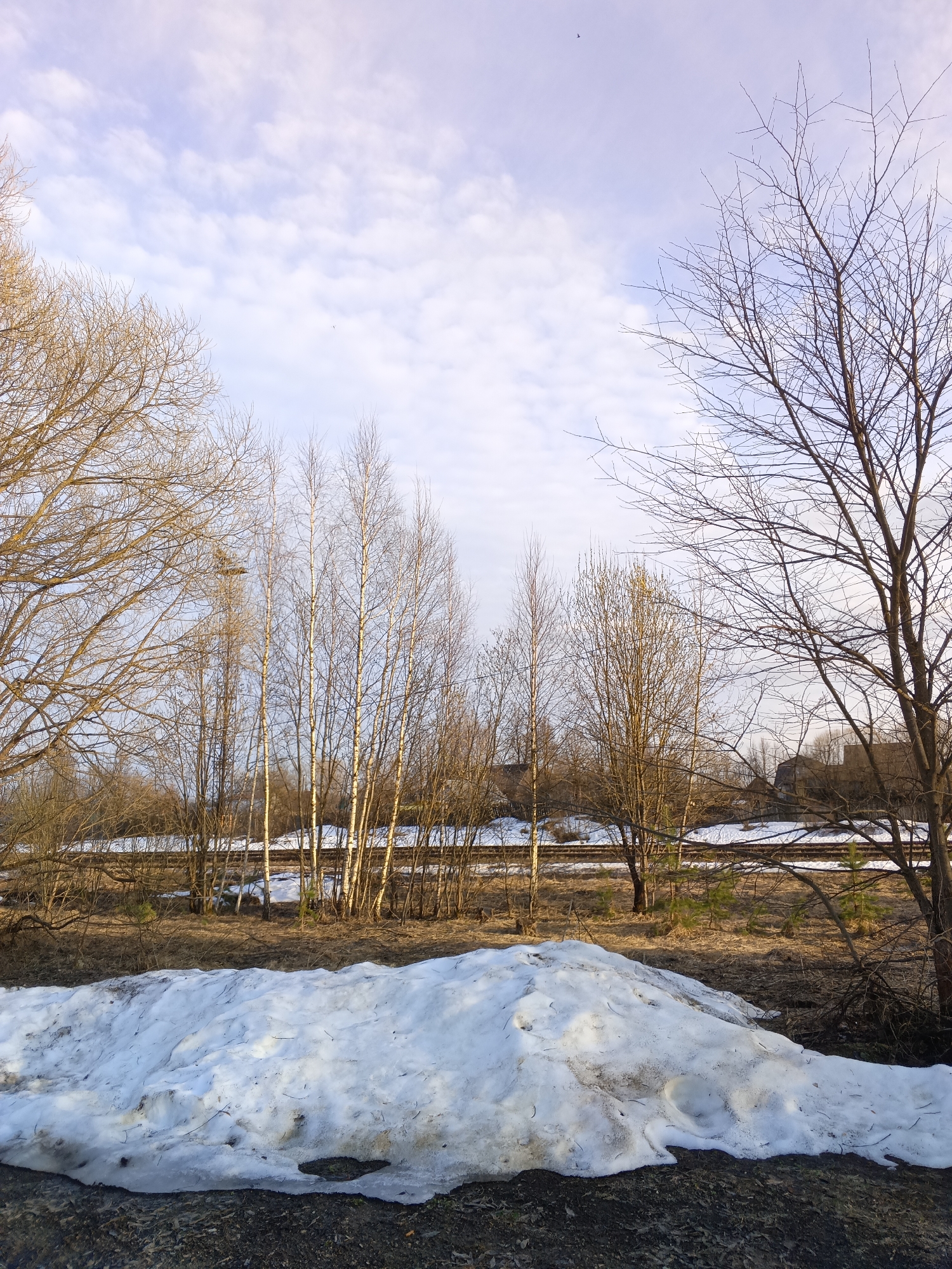 The image depicts a landscape in Andreyevo, Russia. A large pile of melting snow occupies the foreground. Behind the snow, a field of dry grass and brown foliage stretches towards a line of bare trees. The trees vary in size and type, some thin and birch-like, others thicker and more gnarled. A set of railway tracks runs horizontally behind the trees. In the background, vague outlines of buildings can be seen. The sky is overcast with a mix of pale blue and white clouds. The lighting suggests it is either early morning or late afternoon. There are no people visible.