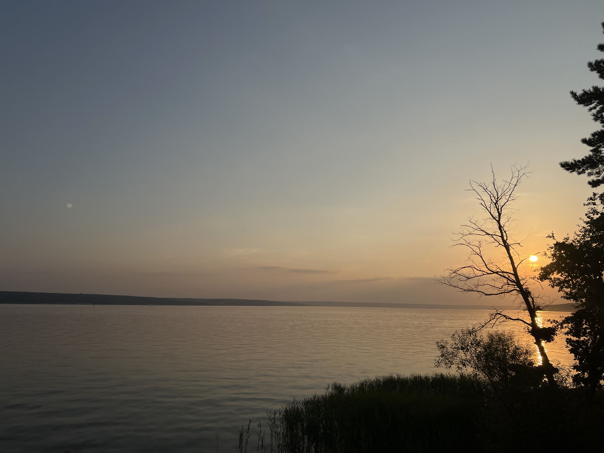 The image depicts a serene sunset over a wide body of water, likely a river or lake. The sky transitions from a clear, pale blue at the top to a warm orange and yellow gradient near the horizon, indicating the sun is setting. Silhouetted against the colorful sky are trees and vegetation along the shoreline. A prominent bare tree, with intricate branches reaching upwards, stands near the center right of the frame. The water's surface is calm, reflecting the colors of the sky and showing subtle ripples. In the distance, a faint line of hills or a distant shore is visible. The overall atmosphere is peaceful and natural. The location is identified as Leninka, Russia. There are no people or animals visible in the frame.