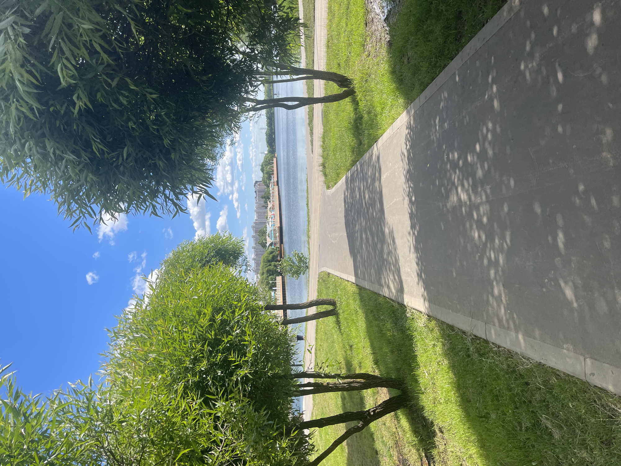The image shows a paved pathway curving through a park with lush green grass and trees. On either side of the pathway are young willow trees with dense foliage. In the distance, a calm body of water, likely a river or lake, is visible. Across the water, a city skyline with apartment buildings and some recreational structures can be seen. The sky is blue with scattered white clouds. The pathway is dappled with sunlight and shadows from the trees, indicating it is daytime. The scene suggests a public park within an urban environment, possibly in Moscow, Russia, given the architecture visible in the background. There are no people clearly visible or engaging in any specific actions, though a distant figure might be present near the water's edge. The overall impression is one of a serene and well-maintained public space.