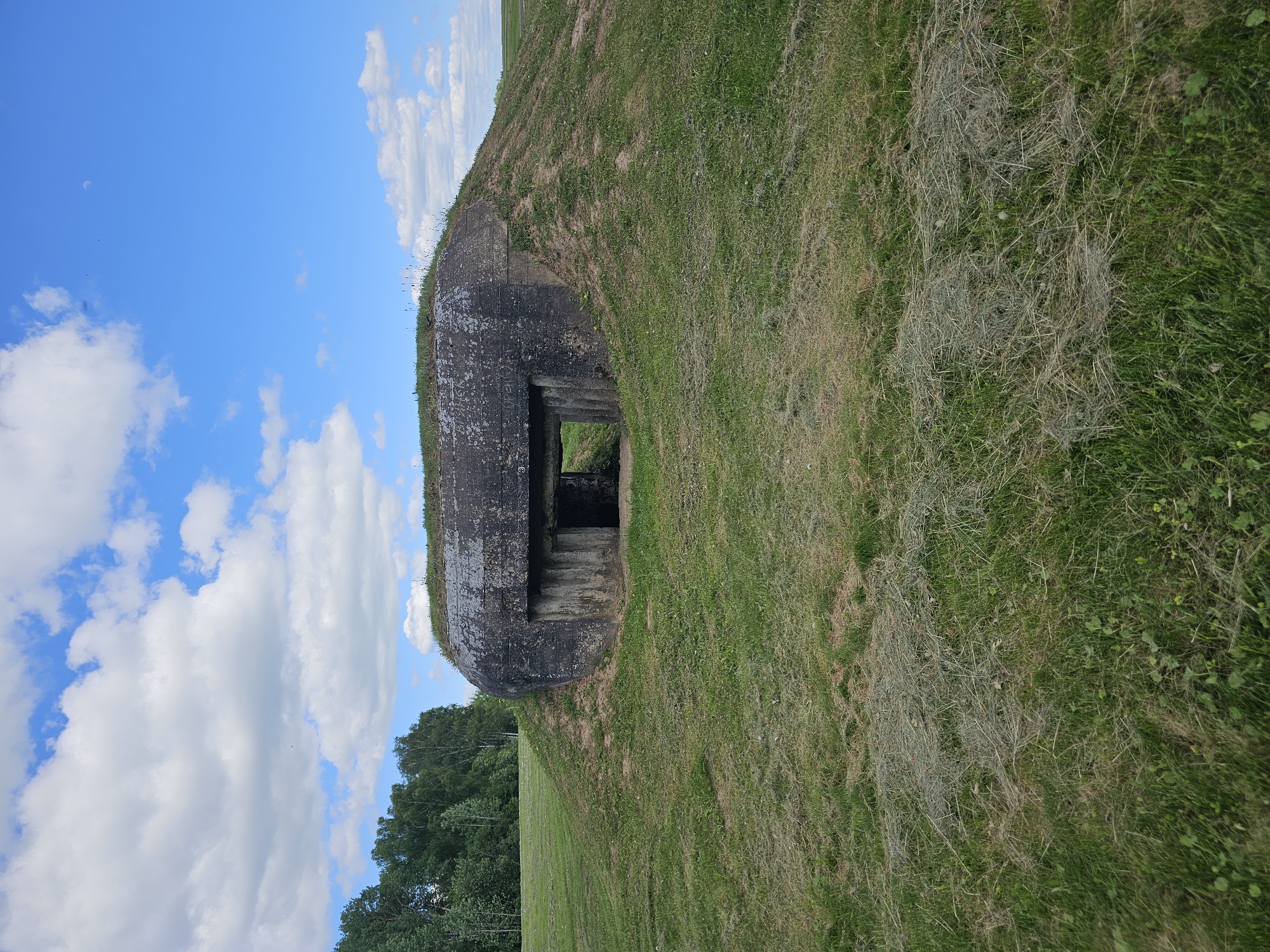 The image shows a concrete bunker integrated into a grassy hill. The bunker has a visible entrance. The hill is covered in green grass with some patches of hay. Behind the hill, trees are visible. The sky is blue with white clouds. The location is in a field in the city of Borodino, Russia.
