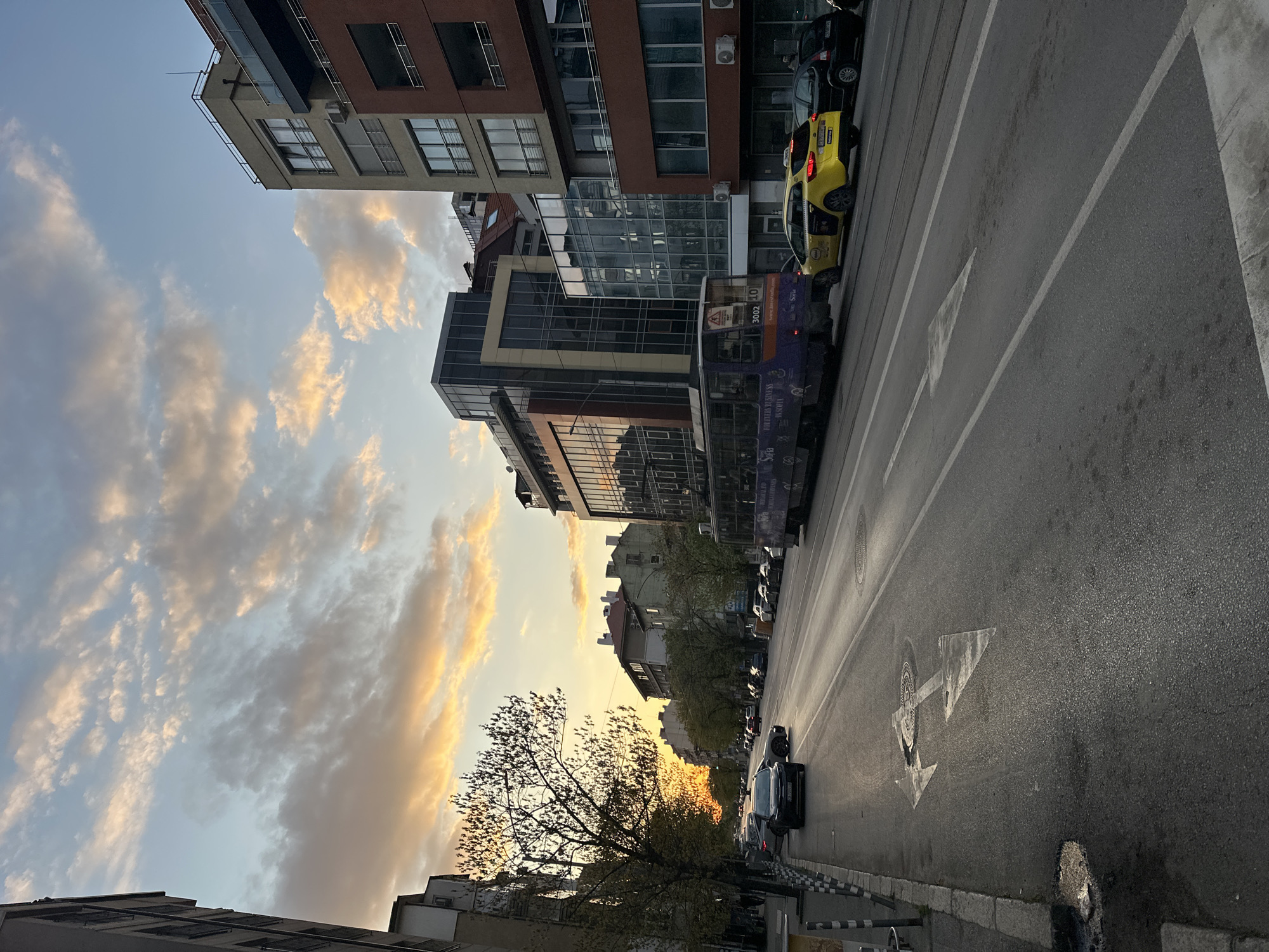 The image captures a dynamic street scene in Sofia, Bulgaria, during the golden hour, suggesting either sunset or sunrise. The sky dominates the upper portion of the frame, filled with scattered, wispy clouds painted in warm hues of orange, pink, and yellow, blending into a soft blue.
The street, paved with asphalt, stretches into the distance, lined on both sides by multi-story buildings. These structures showcase a mix of modern architecture with reflective glass facades and older designs with brickwork and balconies. On the right side of the road, vehicles are visible. A bright yellow taxi cab with "TAXI" on its roof and a partially visible Bulgarian license plate ("CA 69** BC") is in a lane. Behind it, a prominent purple double-decker bus is clearly identifiable as a tourist sight-seeing vehicle, with text reading "HOP ON HOP OFF", "TOURIST SIGHTSEEING", "Sofia", "BUSINESS VENTURES", "BULGARIA", and "www.citytoursofia.bg", along with numbers "3002" and "10".
Along the left side of the street, several cars are parked, and deciduous trees with sparse spring foliage stand, their branches silhouetted against the radiant sky. The road itself features distinct white markings, including solid and dashed lines, and a large arrow indicating a "straight or left turn" option, with another circular marking further down. The overall atmosphere is peaceful and vibrant, reflecting a typical urban moment bathed in beautiful natural light.