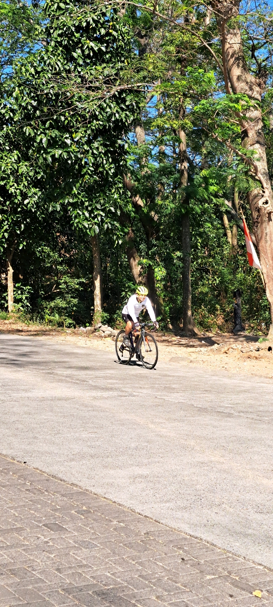 A person wearing a yellow helmet and a white long-sleeved shirt is cycling on a paved road in the city of Sumber Suko, Indonesia. The road appears to be an asphalt surface with a textured, brick-like border on the left side of the frame. The cyclist is positioned in the center-right of the image, moving towards the viewer's left. Behind the cyclist, a dense line of trees with lush green foliage forms a natural backdrop. Sunlight filters through the leaves, casting shadows on the road and highlighting the cyclist's form. A red and white flag, likely the Indonesian flag, is visible on a pole to the right of the frame, partially obscured by tree branches. The overall environment suggests a rural or semi-rural setting within the city, characterized by abundant vegetation and a clear sky.