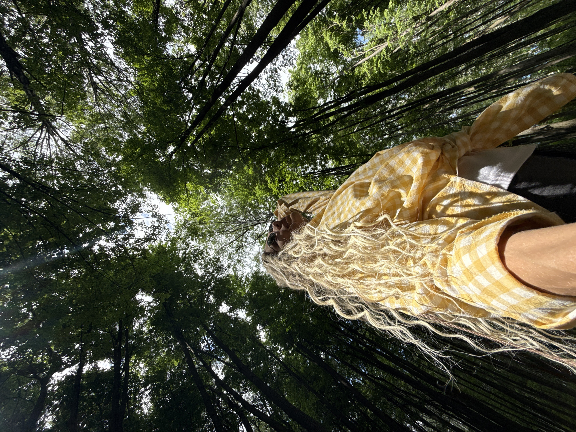 This image captures a low-angle, rotated view looking upwards into a dense forest canopy, featuring a person in the foreground. The person, seen from approximately the chest up, has very long, wavy, blonde hair that appears to flow diagonally across the frame due to the image's rotation. They are wearing a yellow and white gingham-patterned shirt or top, part of which appears knotted. Sunglasses are partially visible on their head or face.
The background is filled with tall, dark tree trunks extending upwards, creating a vertical pattern, and a rich, green canopy of leaves. Bright patches of sky are visible through gaps in the foliage, indicating a sunny daytime. Sunlight filters through the leaves, illuminating parts of the canopy and the person's hair. The scene is set in a vibrant forest, consistent with the location context of Rusanovo, Russia. The image suggests an activity of observation or posing within nature. No discernible text is visible in the media.