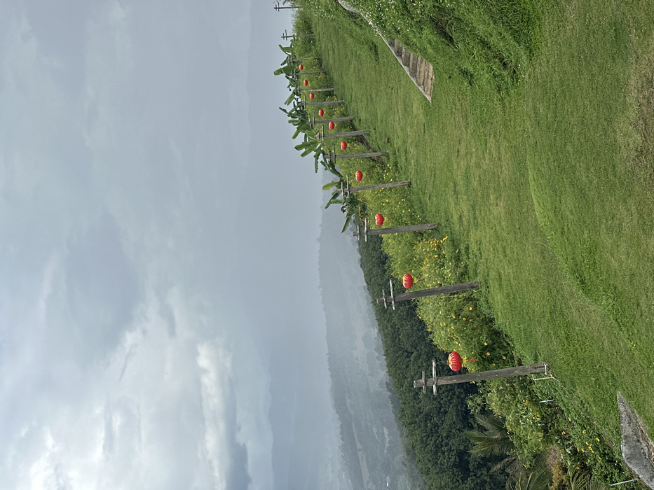 The image displays a green, cultivated hillside in Ban Mai Saha Sampan, Thailand, under an overcast sky. A prominent grassy path, devoid of individuals, extends diagonally upwards from the lower left towards the upper right. Parallel to this path, a line of at least eight wooden posts, each featuring a horizontal crossbar, is spaced along the slope. From each crossbar, a single red, spherical Chinese-style lantern is suspended. To the immediate left of these posts, patches of yellow flowers and green foliage are visible, alongside larger banana plants higher on the slope. Beyond this line of posts and plants, the terrain drops steeply into a dense forest of dark green trees, with layers of distant mountains appearing muted and partially obscured by haze in the background. To the right of the grassy path, a series of unpaved, earthen steps ascends the steeper portion of the hillside. No people or animals are present.