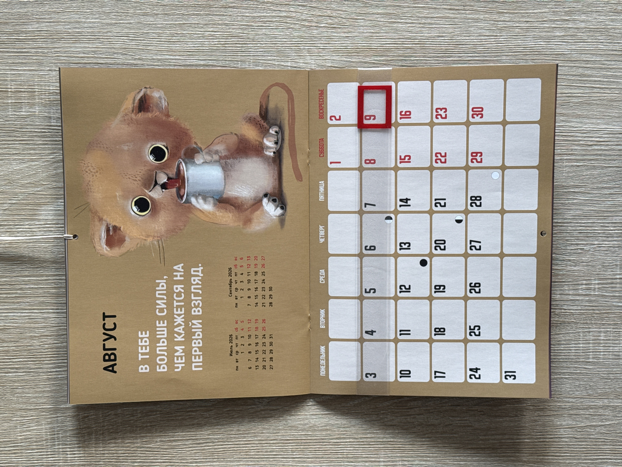The image shows a page from a wall calendar with the month of August displayed prominently at the top. The calendar page features a whimsical illustration of a baby lion character holding a mug. Below the illustration, the days of the week are laid out in a grid format, showing the month of August 2026. Some days are highlighted with red borders or circles, indicating specific dates or events. The calendar is hung against a textured wooden surface, possibly a wall, which appears to be light brown or beige. The lighting in the scene is natural, casting soft shadows. There are no people visible in the image. The calendar page itself is made of thick, matte paper with a light brown background. The calendar appears to be in good condition, with no visible damage. The location of Lyubertsy, Russia, is not depicted in the image.