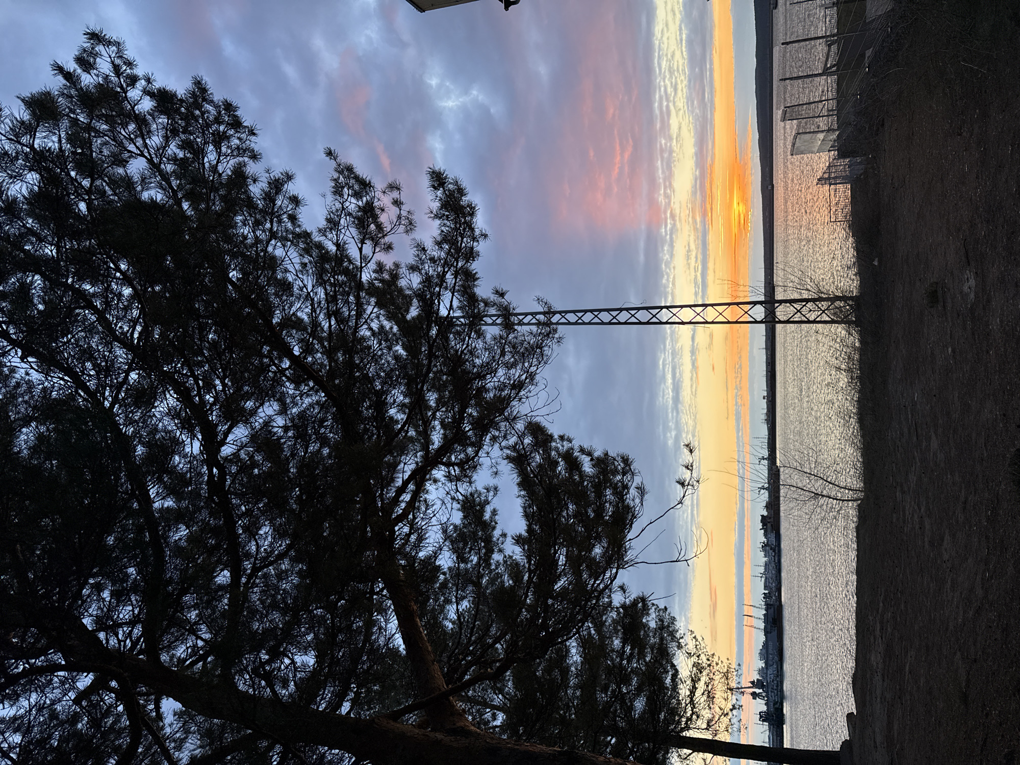 The image depicts a sunset over a wide body of water, likely the Kama River in Chaikovsky, Russia. In the immediate foreground, a large pine tree or similar conifer stands silhouetted in dark tones, its dense branches and needles filling the left side of the frame. The sky above transitions dramatically from deep blues and greys on the left to vivid oranges, pinks, and yellows on the right, where the sun is setting below the horizon. Various cloud formations, some streaky and others more diffused, are visible across the sky.
A metallic lattice structure, resembling a power line tower or part of a bridge, extends horizontally across the midground, cutting across the sky and water. Below the horizon, the expansive water surface reflects the warm hues of the sunset, appearing shimmery. On the distant shore across the water, faint silhouettes of what appear to be industrial structures or docked ships are visible. The right foreground shows a dark, earthy bank with sparse vegetation and what looks like a fence line. The scene captures the tranquil beauty of dusk, juxtaposed with elements of infrastructure. There is no visible text in the image.