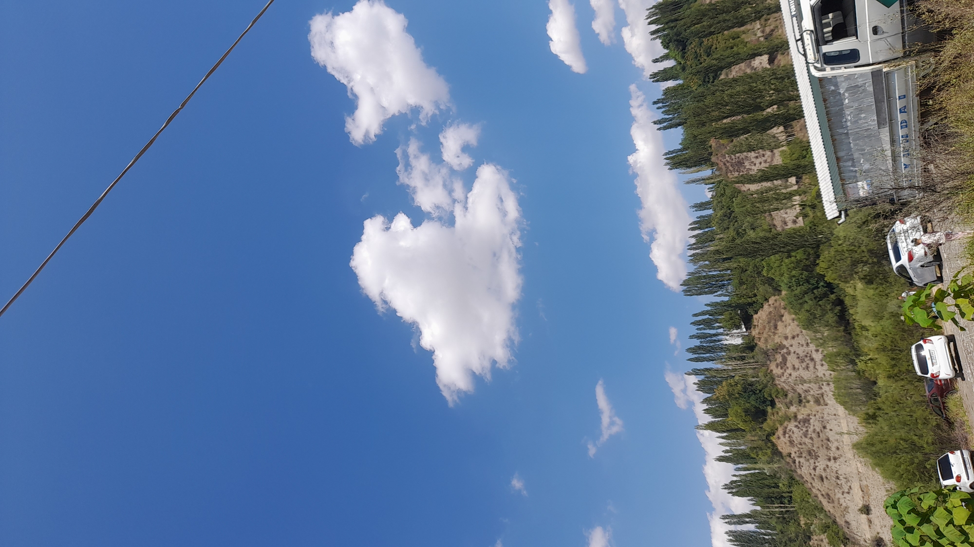 The image depicts a scenic view of a hillside with a clear blue sky above, characteristic of Beryu, Kyrgyzstan. A power line is visible stretching across the upper portion of the frame. The hillside is covered in a dense arrangement of tall, slender trees, with sparse vegetation and exposed soil on the lower slopes. In the foreground, a few cars are parked. To the right, part of a white truck with a silver cargo area is visible. Several individuals are present near the vehicles, appearing to be standing or walking. The overall impression is of a sunny day in a natural setting, likely on the outskirts of Beryu.