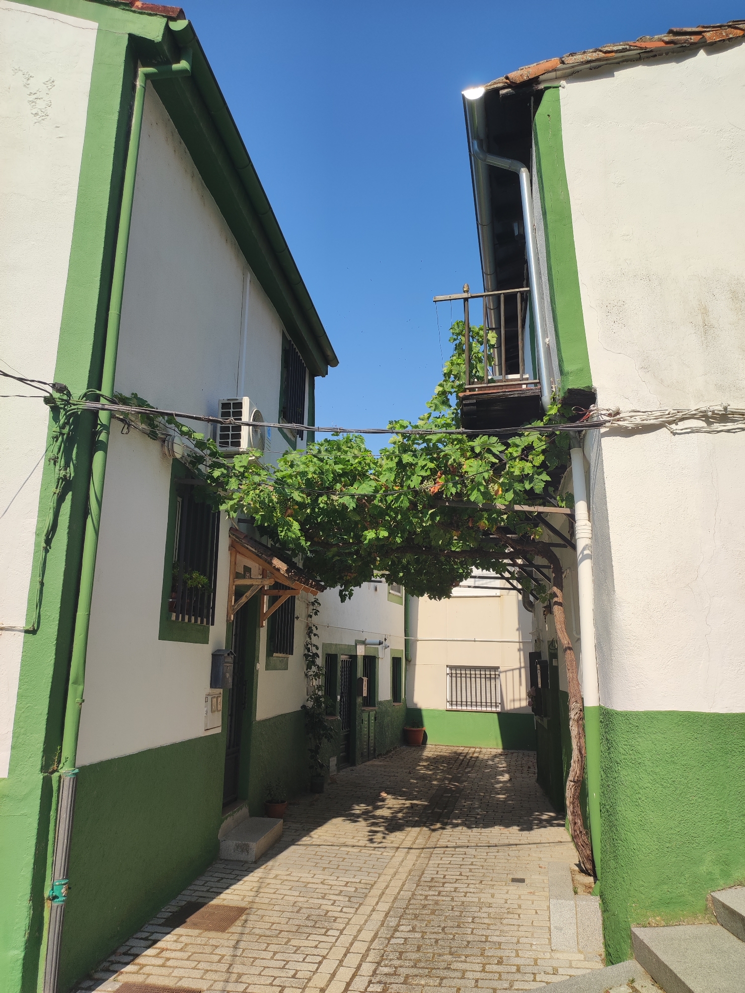 The image depicts a narrow alleyway between two white buildings with green trim, located in the city of Béjar, Spain. The alleyway is paved with light-colored bricks and features cobblestone or a similar textured surface. Lush green vines, bearing small red fruits, grow across a trellis structure that spans the alleyway, creating a shaded canopy. Sunlight casts dappled shadows on the ground from the foliage.
On the left side of the alley, a white wall with a green base is visible, featuring a window with dark bars, an air conditioning unit mounted high on the wall, and a wooden awning over a doorway. A dark-colored mailbox is affixed to the wall near the doorway. On the right side of the alley, another white wall with a green base is present. A small balcony with a metal railing extends from the upper part of this building, with vines also growing around it. Electrical wires are strung across the alleyway, supported by the buildings.
In the background, the alley continues, revealing more buildings with similar color schemes and barred windows. The sky is clear and blue. No people are visible in the scene. The overall impression is one of a charming, somewhat rustic, and sun-drenched urban pathway.