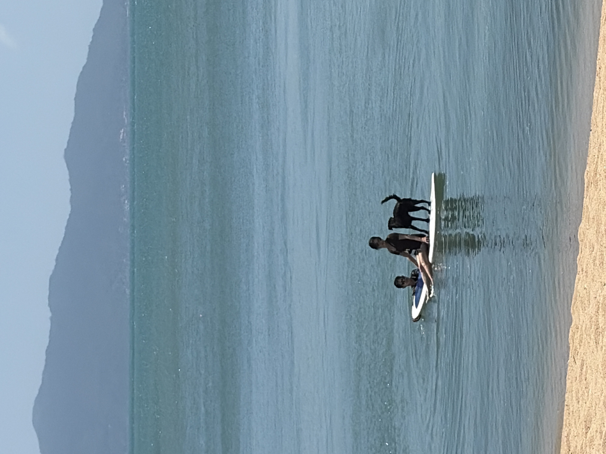 Two individuals and a black dog are on a paddleboard in the ocean. The individual on the left is sitting on a paddleboard, and the individual on the right is sitting on another paddleboard. The dog is standing on the paddleboard with the individual on the right. The paddleboards are on a calm body of water. In the background, there is a hazy mountain range. The water is a clear blue, and the sky is a pale blue. The foreground is a sandy beach. The scene is likely taking place on a sunny day in Ko Samui District, Thailand, given the tropical landscape.