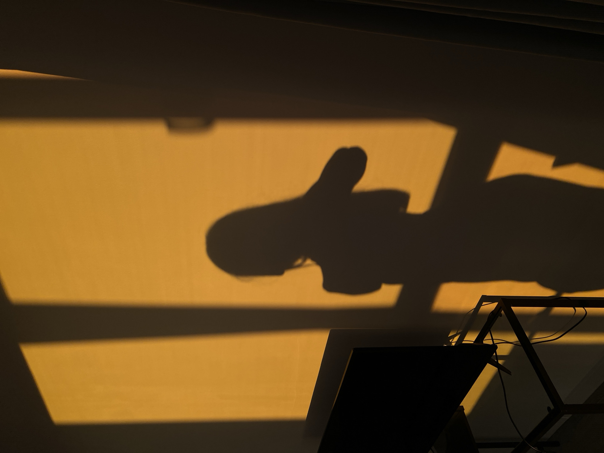 An undated, medium-shot photograph captures the silhouette of a person against a sunlit wall in what appears to be an indoor setting. The person's shadow is cast by sunlight streaming through a window, creating distinct rectangular patterns of light and shadow on the textured wall. The shadow depicts a person from the neck down, with their hair falling down their back. Their arms are positioned as if they are reaching for their hair or adjusting it. To the left of the frame, a black television screen sits on a metallic stand, with various cables visible. The lighting suggests it is either sunrise or sunset, bathing the scene in a warm, golden hue. The overall impression is one of quiet solitude and artistic composition.