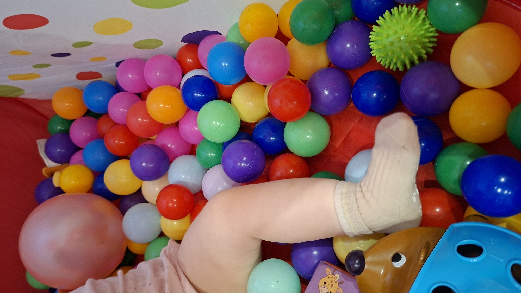 The image shows a ball pit filled with numerous colorful plastic balls. A child's leg and foot, wearing a beige sock, are visible among the balls. There are also parts of a toy, including a blue plastic piece with holes and a brown animal-shaped component. The background consists of a canopy with colored circles.