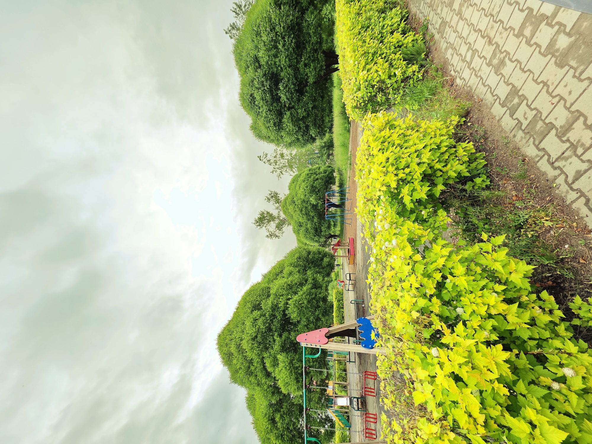 This image depicts an unoccupied children's playground and park area in the city of Chaikovsky, Russia, observed on an overcast day. The sky is predominantly covered with light grey stratiform clouds, with a brighter, diffused light source visible towards the upper right.
In the immediate foreground, a pathway constructed from light grey, interlocking concrete pavers extends diagonally from the bottom right towards the middle ground. Patches of the pavement appear wet, suggesting recent precipitation. To the left of the walkway, a dense, vibrant hedge of yellow-green deciduous bushes, approximately 1 meter high, runs parallel to the path. Small clusters of white flowers are interspersed throughout the foliage of the hedge.
The middle ground is dominated by a children's playground area. A prominent A-frame swing set, featuring pink and blue structural elements and two red swing seats, is centrally located. Further to the left, another swing set with a blue frame and red seats is partially visible. Towards the right side of the playground, a red sandbox is present, accompanied by two small, dark-colored benches. Various other pieces of playground equipment, including what appears to be a slide structure, are partially discernible in the background. The ground surface of the playground area is a dark, even texture, likely a safety surface.
Beyond the playground, several large, rounded trees with dense, bright green foliage form a significant natural element. These trees have full canopies and appear healthy. In the distance, particularly towards the left, sparser, taller trees are visible. The overall scene is devoid of human presence or activity.
