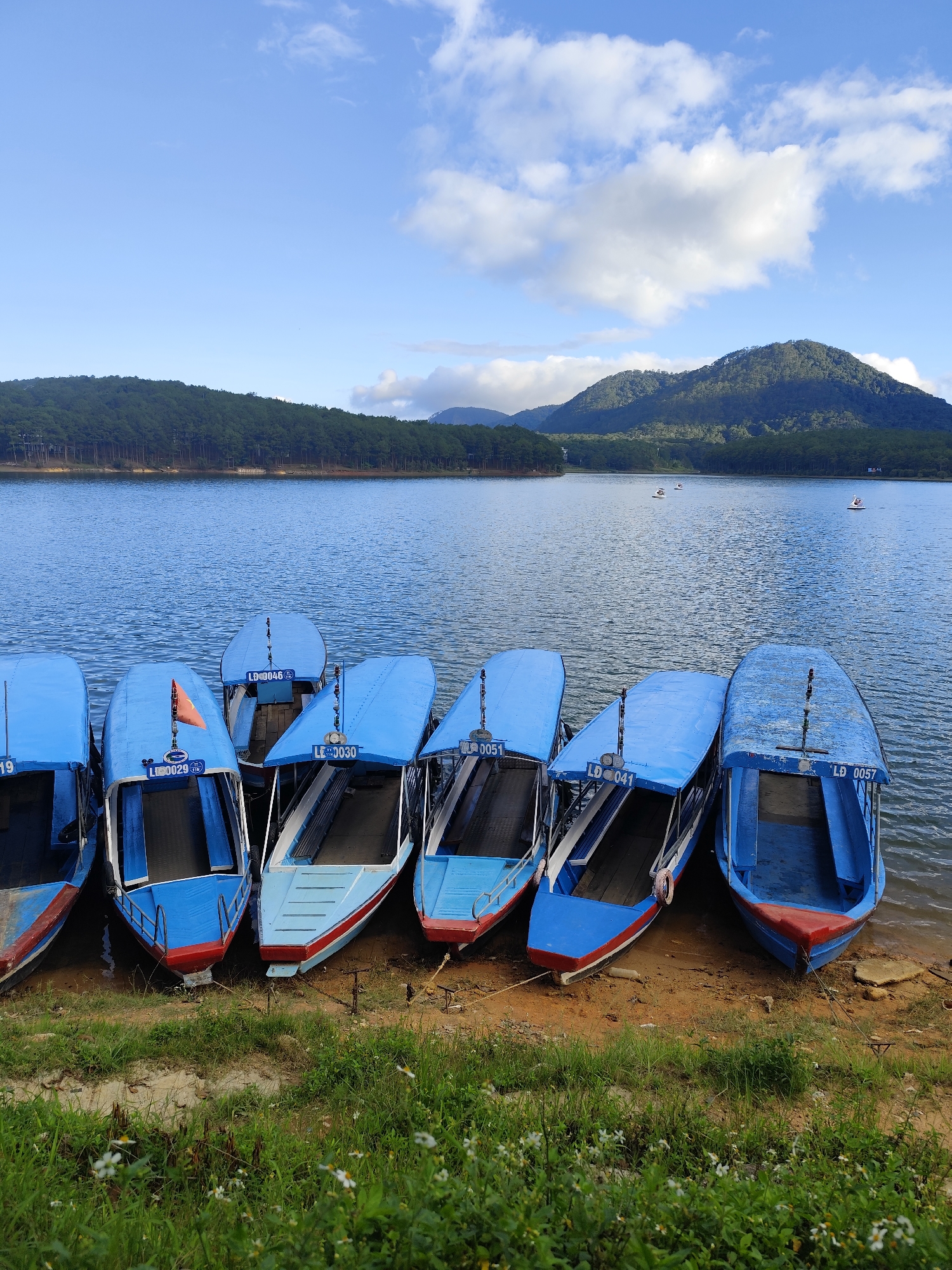 The image captures a serene lakeside scene in Da Lat, Vietnam. Seven blue and red motorboats are docked along the shore of a lake. Each boat has a blue canopy and a license plate visible on top. The boats are touching each other, aligned parallel to the shoreline, which consists of dirt, sand, and grass with small white flowers. The lake is calm with scattered boats in the distance. The background features mountains densely covered with green trees, and the sky above is a clear blue with scattered white clouds. The lighting suggests it is daytime.