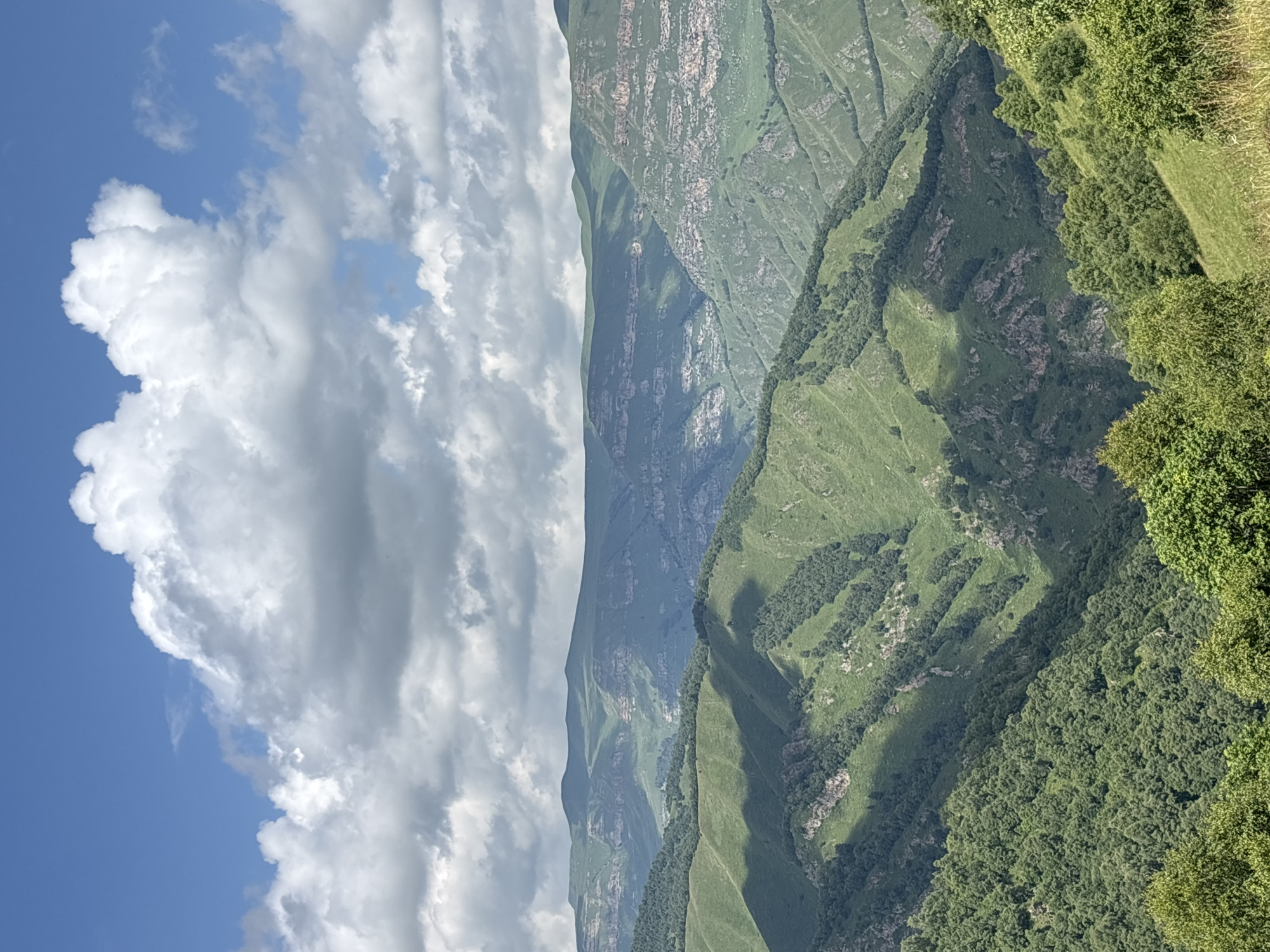 An expansive, vertical shot captures a dramatic mountain landscape under a bright, partly cloudy sky. The foreground features lush green trees, with the middle ground revealing undulating, verdant mountain slopes dotted with patches of trees and dramatic shadows cast by the clouds. These slopes give way to higher mountain ranges characterized by layered rock formations and a more sparse green covering. In the distance, the mountains recede into a hazy blue, with their crests forming soft, rounded silhouettes against the sky. The sky itself is a vibrant blue, broken by large, puffy white and gray clouds that cast shadows on the terrain below, creating a dynamic play of light and shade. The scene is a natural, untamed environment with no visible human presence or structures.