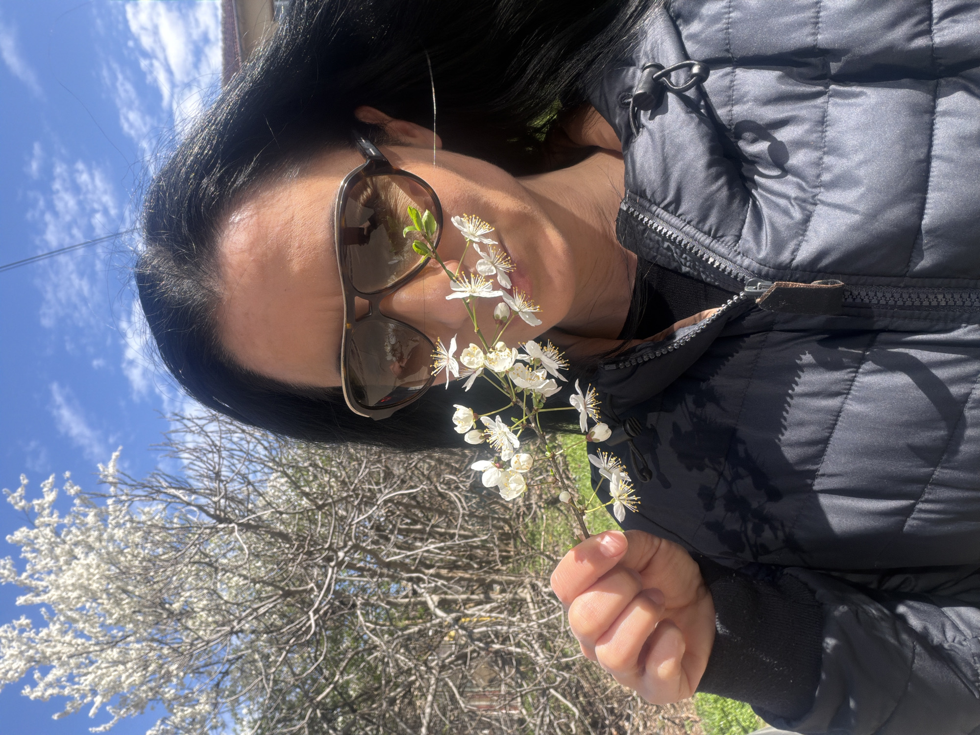 A person wearing sunglasses and a black puffer jacket is holding a sprig of white flowering blossoms in their hand. The sky is blue, and a flowering tree is visible in the background. The photograph appears to be taken outdoors. The city of Pleven, Bulgaria is not identifiable from the image.