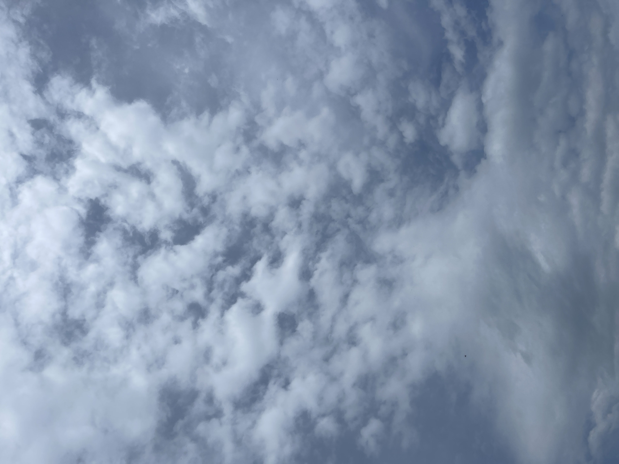 The image shows a cloudy sky over Verkh-Katunskoye, Russia. The sky is predominantly blue, with numerous white and gray clouds scattered throughout. The clouds vary in size and shape, ranging from small, puffy formations to larger, more elongated ones. The lighting suggests it is daytime, but the clouds partially obscure the sun. No people, subjects, objects, actions, or interactions are visible in the frame.