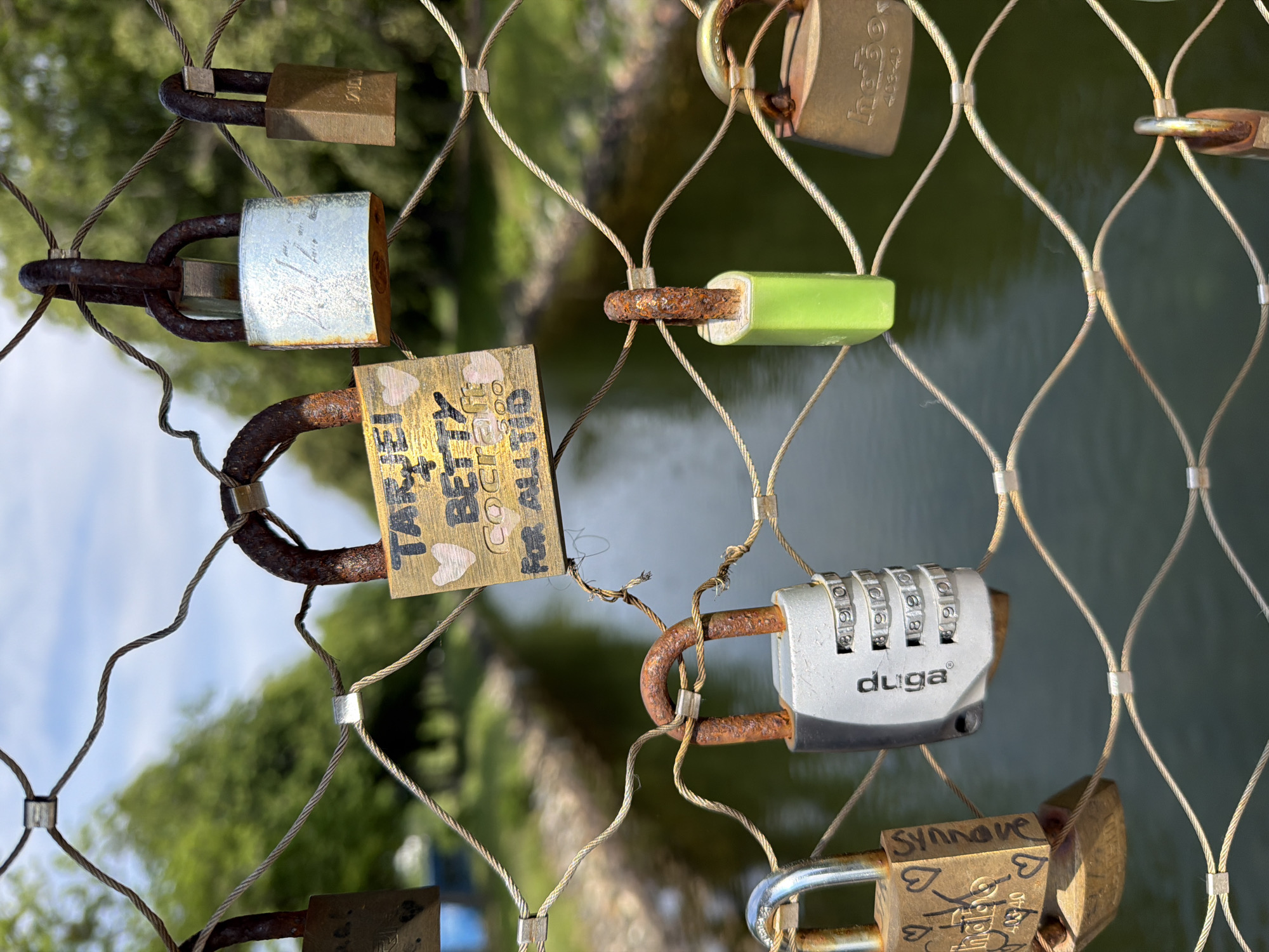 The image captures a detailed view of numerous "love locks" affixed to a wire mesh fence, overlooking a body of water in Horten, Norway. The foreground is dominated by the interwoven steel cables of the fence, forming a grid pattern with small, cylindrical metal crimps at the intersections.
Eight distinct padlocks are clearly visible, with partial views of others. Their shackles, primarily made of metal, exhibit varying degrees of rust, ranging from light corrosion to heavy, dark orange-brown oxidation. The lock bodies themselves vary in material and condition:
* A prominent brass-colored padlock in the upper center is inscribed with "TARJEI BETTY COCKRAFT FOR ALLTID" and includes two drawn hearts, one white and one partially visible.
* Adjacent to it, a silver-colored padlock shows faint, unidentifiable markings.
* Another brass-colored padlock bears the inscription "halbo" above a heart and "40340", with "Synnove" written vertically on its side.
* A silver and black combination padlock prominently displays the brand "duga" and its dials show numbers such as "9, 9, 8, 9, 0".
* A small padlock features a bright lime-green body.
* Other padlocks are various shades of brass or worn metal, some bearing faint or partial inscriptions like "habo" and "40840".
In the background, a calm, dark green body of water, likely a canal or river, flows beneath the locks. Both banks of the waterway are lined with dense, out-of-focus green foliage and trees, indicating a natural or park-like environment. Above the treeline, a bright, partly cloudy blue sky is visible. No individuals are present in the frame.