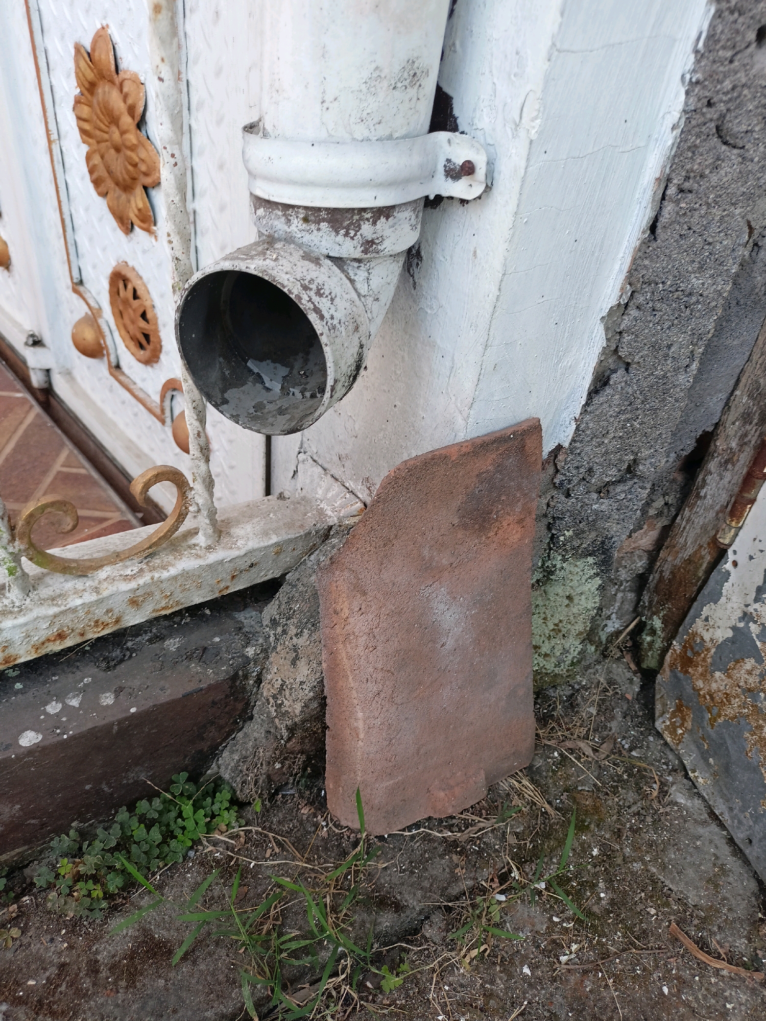 This is a close-up, eye-level, outdoor shot of a drainage pipe attached to a white painted wall. The pipe is made of metal and appears rusted and weathered. A piece of broken terracotta tile lies on the ground in front of the pipe. To the left of the pipe is a section of a white metal gate with decorative elements. The ground is a mixture of dirt, small green plants, and debris. The scene is likely located in a residential area or yard.