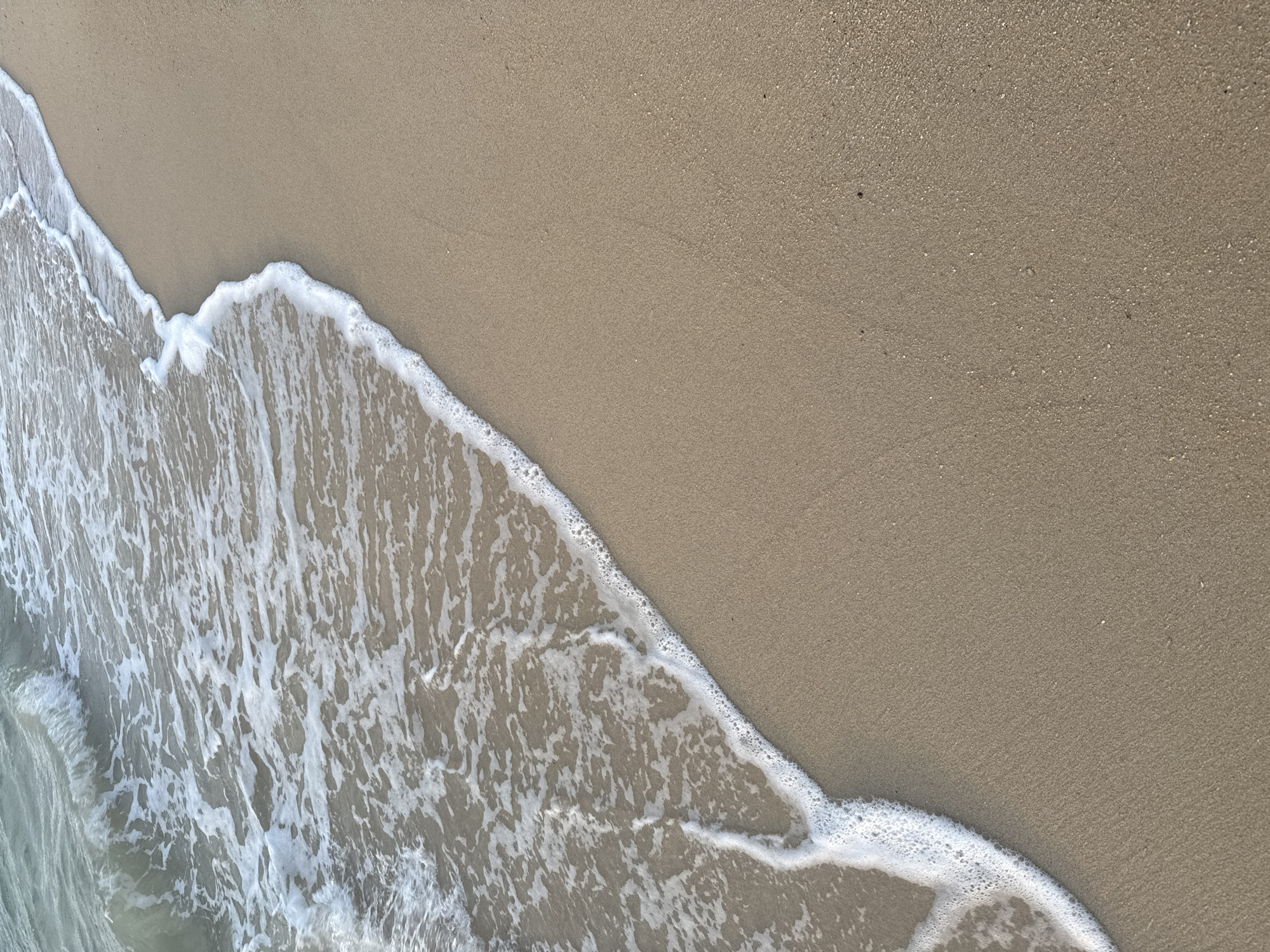 The image shows a beach scene, most likely located in Baan Tai, Thailand. The upper right portion of the frame is composed of tan sand, exhibiting a fine grain texture. The bottom left portion of the image depicts ocean water receding onto the sand. The water is foamy and appears to be a pale blue color. The division between the sand and water creates a diagonal line across the frame. There is a small piece of organic matter on the sand at the upper right portion of the image. The scene seems to be photographed during daytime. No people are present in the photograph.