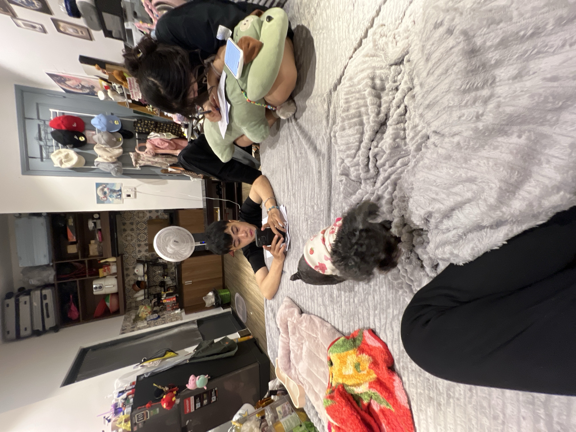 The image shows an indoor scene. Two people, one a young adult female with dark hair, and the other a young adult male, are on a bed. The female is crouched and appears to be writing on a document supported by a stuffed animal. The male is lying on his side, looking at his phone. A small black dog with a strawberry-patterned shirt is nearby. The bed is covered in a grey, textured blanket. In the background, there is a view of a room with a fan, shelves, and a refrigerator. Hats are visible in the upper left corner. The scene appears to be in a home in Đà Nẵng, Vietnam.