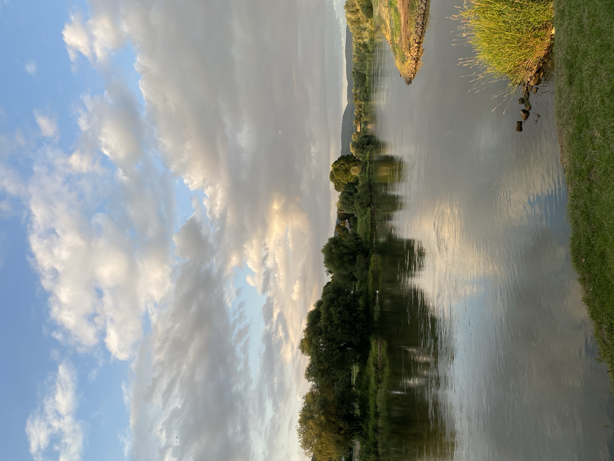 This is an image of the Weser River in Rinteln, Germany, taken from a vantage point on the grassy bank. The river flows from left to right across the frame, its surface reflecting the sky and the surrounding greenery. The sky is a mix of blue and dramatic clouds, with patches of sunlight breaking through, casting a warm glow on the landscape.
On the left bank, a dense line of trees forms a lush barrier, with some taller trees in the foreground. A small white swan is visible in the water near the bank. The right bank is characterized by a more gradual slope covered in grass and scattered rocks. A patch of tall, sunlit grass is prominent in the lower right corner, with rocks jutting out into the water. In the distance, rolling hills are visible under a vast, cloudy sky. The overall scene depicts a tranquil natural environment at what appears to be late afternoon or early evening.