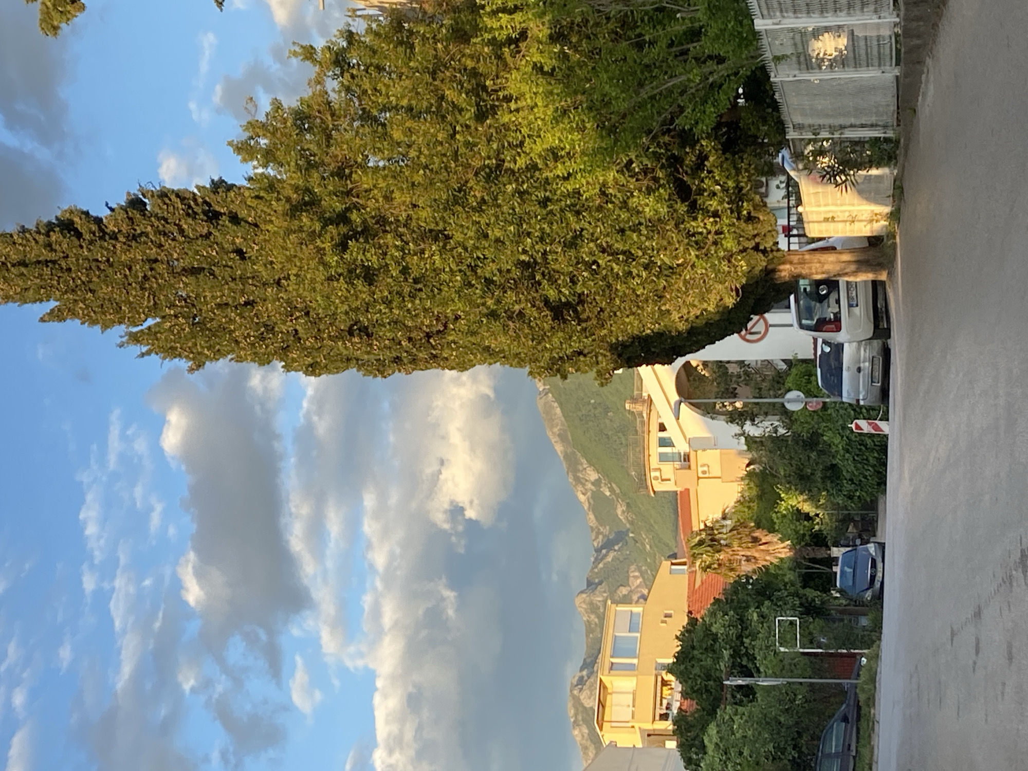 This image presents a serene street scene in Bar, Montenegro, captured during the golden hour, either late afternoon or early morning, indicated by the warm, directional light illuminating the landscape. The scene, displayed vertically in the provided image, shows a horizontal street with residential buildings and natural elements.
In the foreground, a paved street runs along the right side of the frame. To the left, a very tall, dense green tree, resembling a cypress, stands prominently, its foliage brightly lit by the low sun. Further back, on the left, several light-colored residential buildings with balconies and tiled roofs are visible, basking in the warm light.
Parked along the street are several vehicles: a white small hatchback, a silver/gray sedan, and a dark blue car. A notable detail is the license plate on the white car, which clearly shows "PG", indicating Podgorica, a city in Montenegro, confirming the location context. A circular red and white road sign, likely a "No Entry" sign, is partially visible behind the white car. Beyond the street and properties, a majestic mountain range, covered in green vegetation, forms the backdrop.
The sky above is a clear blue, adorned with scattered white and gray clouds, adding depth to the natural setting. No people or specific activities are visible, lending a calm and tranquil atmosphere to this Mediterranean streetscape.