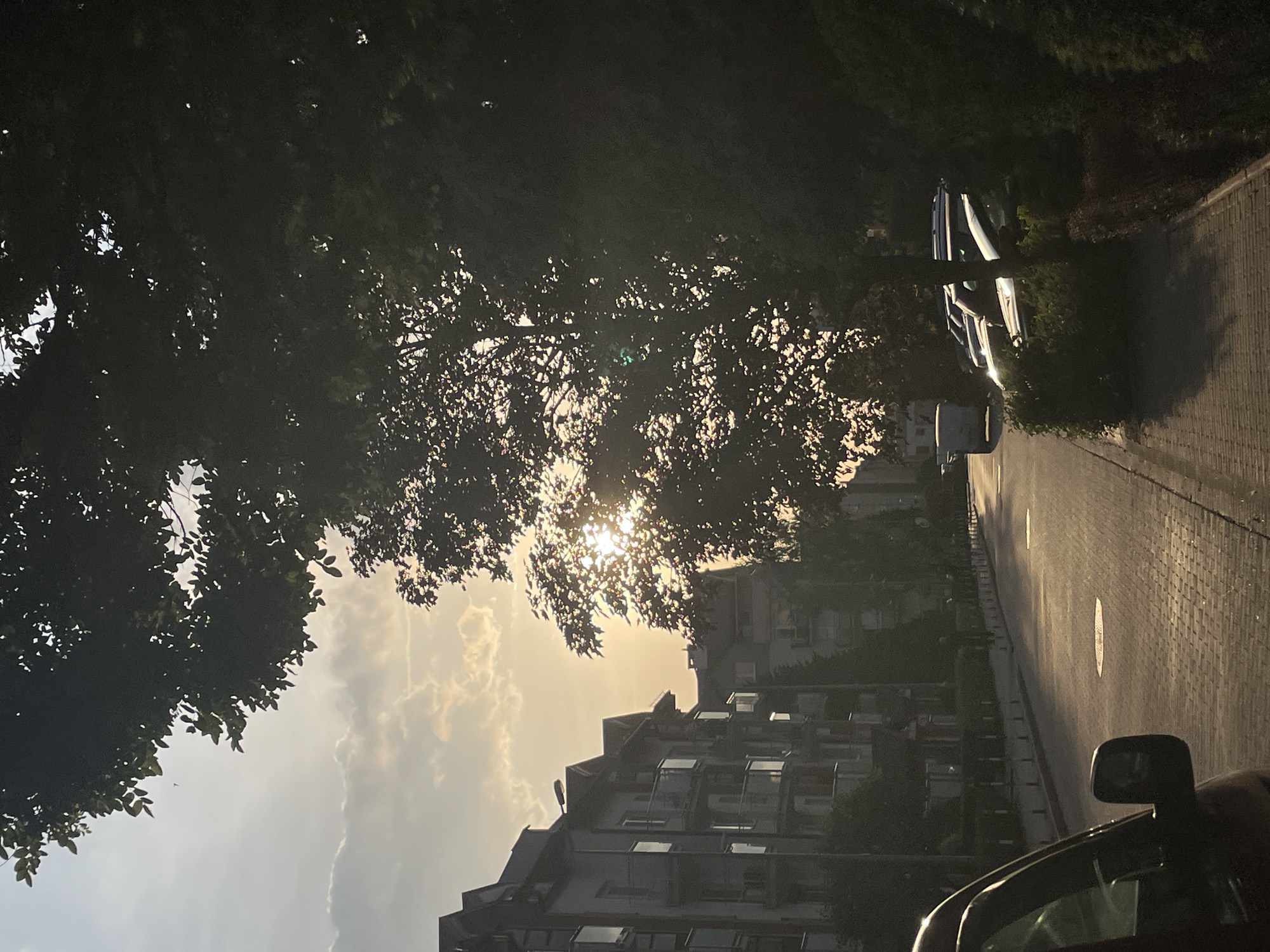 The image shows a street scene, possibly in an urban area. Buildings are visible along the street, with their architecture partially obscured by trees. The sun is shining through the trees, creating a dappled effect on the ground and buildings. Cars are parked along the side of the street. The image is taken from a slightly elevated perspective, possibly from a building or higher ground. The sky is visible in the background with clouds. The time of day appears to be either early morning or late afternoon, judging by the low angle of the sun. The location is not specified in the image.