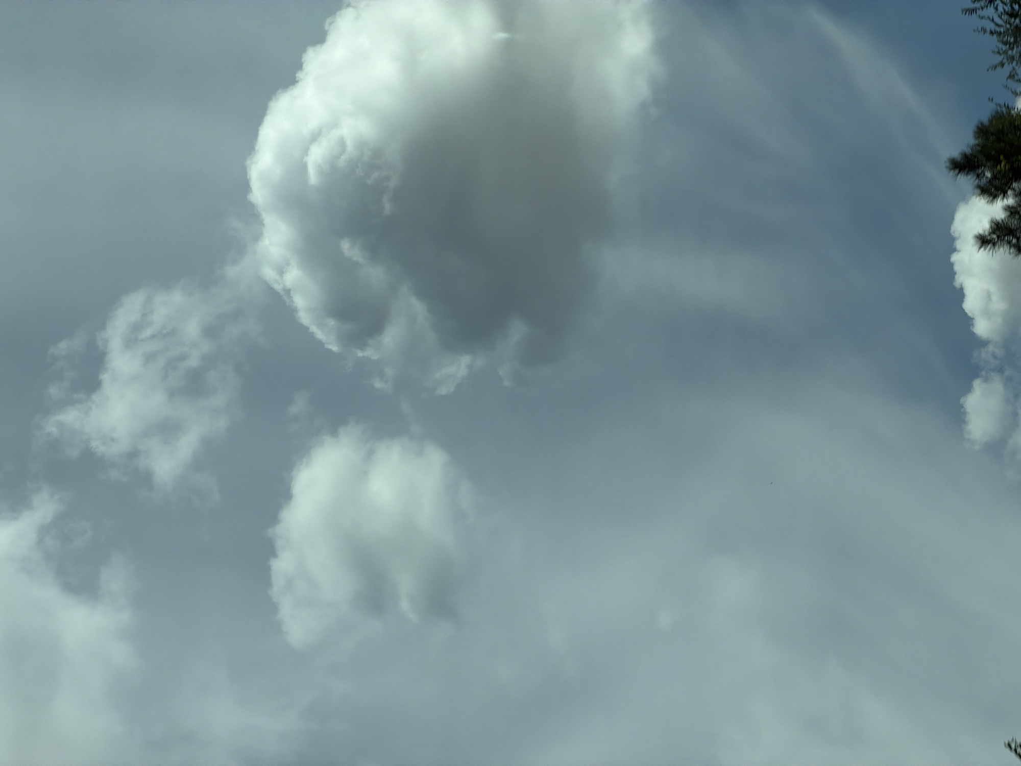 The image displays a sky filled with a mix of clouds. In the foreground, at the bottom of the frame, the tops of dark green evergreen trees are visible, suggesting an outdoor setting. The sky itself is a light blue-gray, with several distinct clouds. To the left of the frame, there are two smaller, puffy white clouds. Towards the center and right, a larger, more substantial cloud dominates the upper portion of the sky, exhibiting more texture and shadow. Fainter, wispy clouds stretch across the sky, particularly in the lower right quadrant. The overall impression is that of a partly cloudy day. No specific landmarks or urban features are identifiable to confirm a location within Băcioi, Moldova.