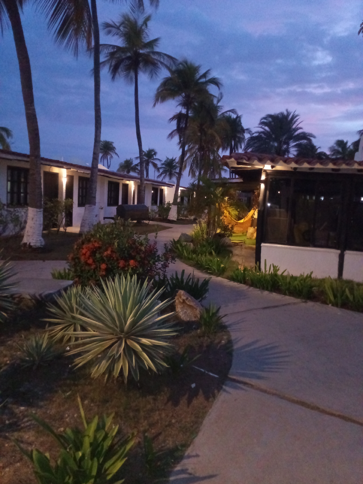 The image depicts a twilight scene at what appears to be a resort or hotel complex, possibly in Porlamar, Venezuela. A paved walkway curves through the foreground, bordered by low-lying green plants and a large agave plant with spiky leaves. To the left, a row of white buildings with dark-trimmed windows is visible, with palm trees in front of them. The buildings are illuminated by outdoor lights, casting a warm glow. Further back, another building with a tiled roof is partially visible, and a yellow hammock is slung between two poles. The sky above is a deep blue with hints of purple and pink, suggesting the sun has recently set. The overall atmosphere is tranquil and tropical.