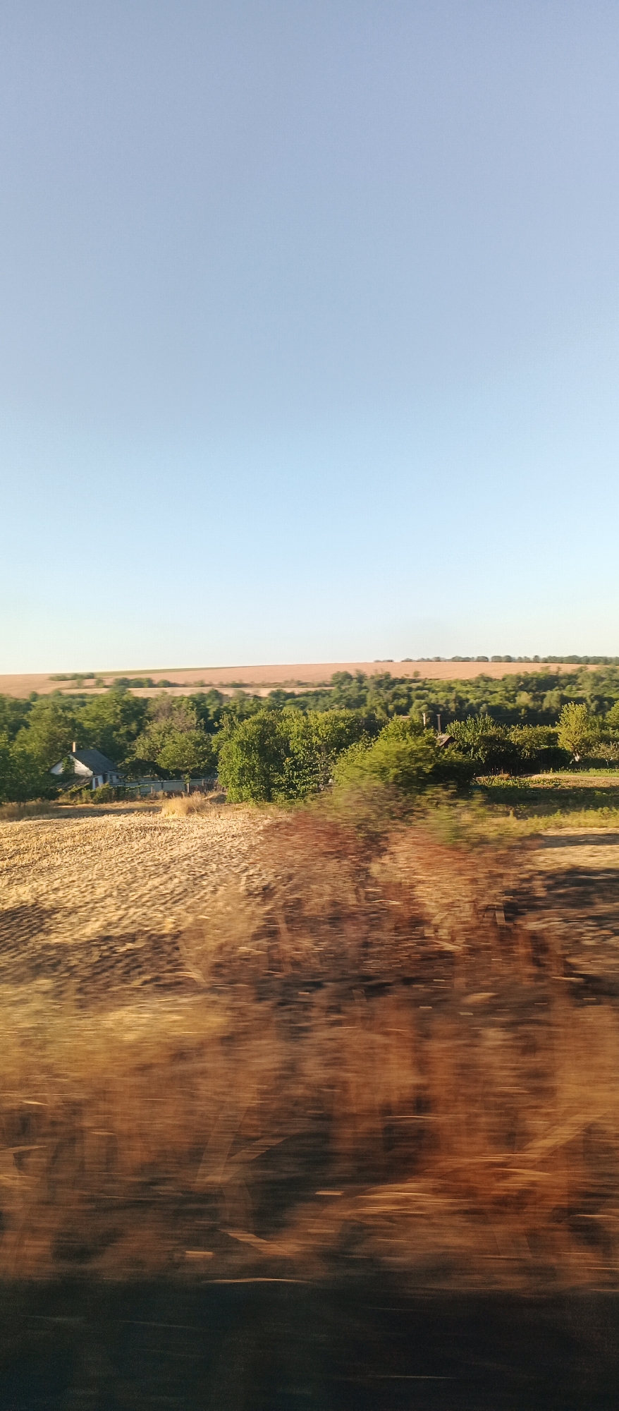 A rural landscape scene captures a village in Nosachiv, Ukraine, under a clear, pale blue sky. In the foreground, a field of dry, harvested crops, appearing golden and light brown, exhibits motion blur, suggesting movement. A house with a grey roof and white walls is visible to the left, surrounded by dense green trees and foliage. Beyond the trees, a distant hillside is covered in a light brown field, and a thin line of trees marks the horizon. The overall impression is one of serene, sunlit countryside, with a slight blur indicating a sense of travel or passing through.