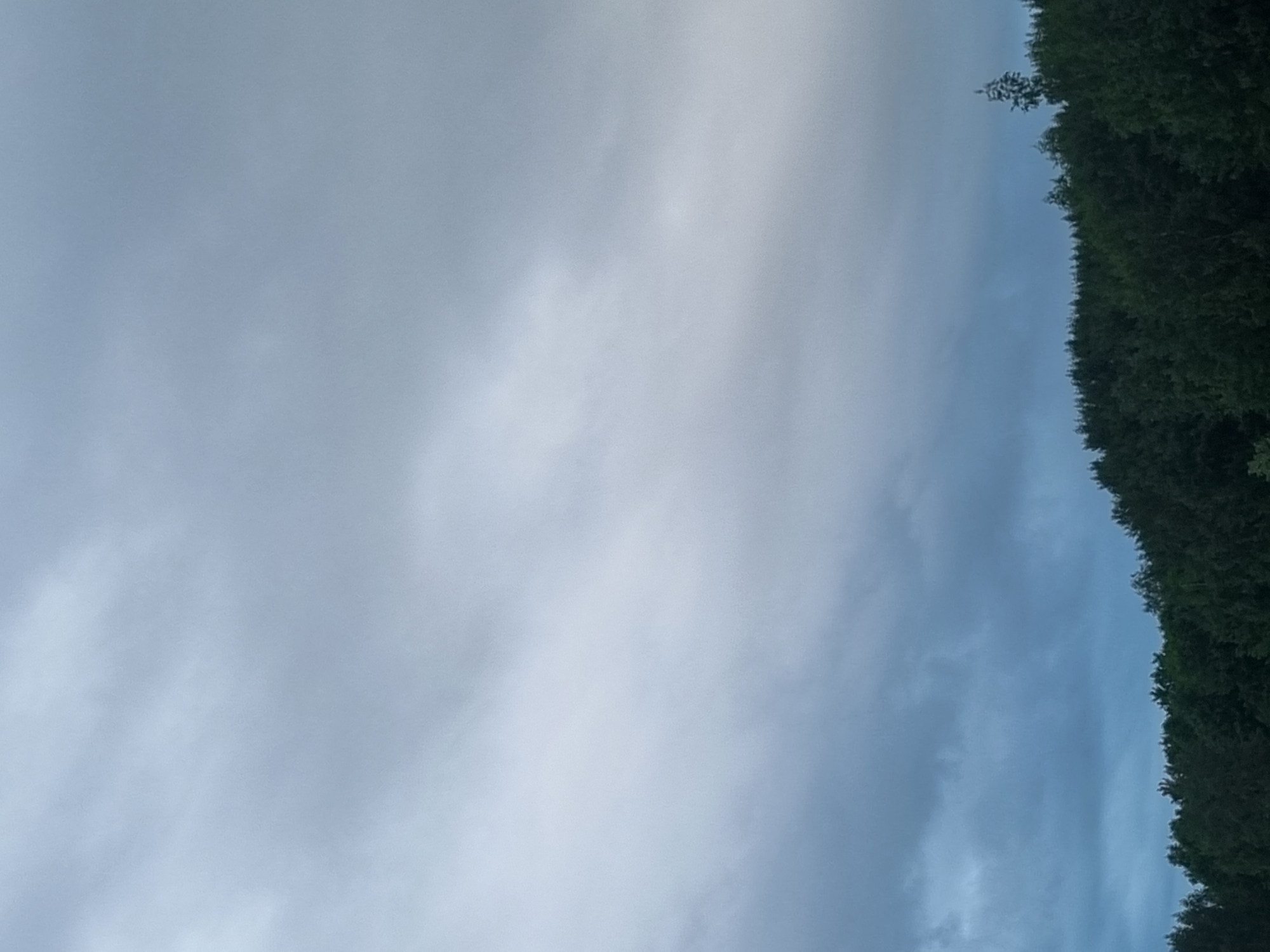 This image, captured in the city of Kemul, Russia, displays a natural landscape scene dominated by an overcast sky above a dense forest. The upper approximately two-thirds of the frame consists of a cloudy sky, characterized by varying shades of grey and bluish-grey, with a notably lighter band of clouds running diagonally across the mid-section from upper left to lower right. The cloud cover is uniform, diffuse, and suggests an overcast or heavily clouded day without direct sunlight. The lower third of the image shows a thick, dark green treeline forming an irregular horizon. The foliage appears dense, comprising numerous trees without distinct individual features, except for a single, taller, slender tree positioned on the far right, which extends above the primary forest canopy. No people, man-made structures, or discernible actions are present in the scene.
