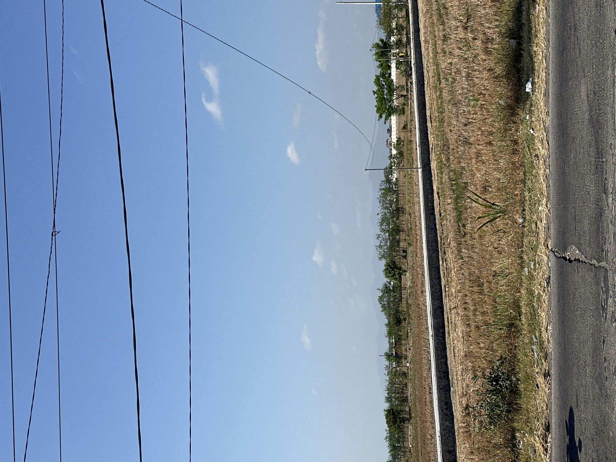 A rural landscape scene is captured under a clear blue sky with a few wispy clouds, as viewed from a cracked asphalt road. Power lines crisscross the upper portion of the image. In the midground, a dry, golden field of grass is separated by a low concrete barrier from a strip of land with scattered green bushes and more dry grass. Beyond this, a line of trees with lush green foliage stretches across the horizon, interspersed with some distant structures and a mountain range in the far background. The overall impression is one of an undeveloped or agricultural area on the outskirts of a town or city.