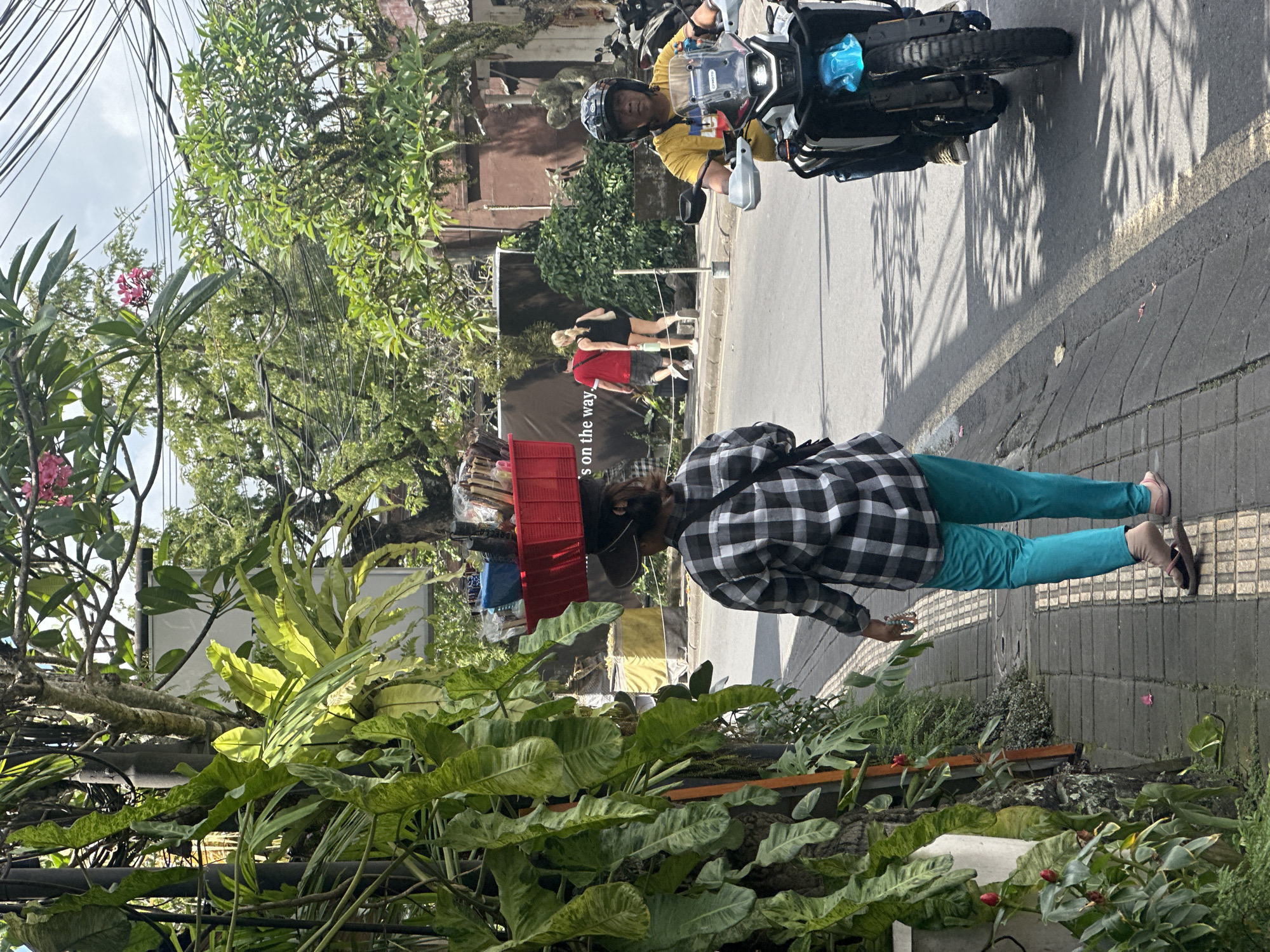 A person walks on a paved sidewalk carrying a red basket filled with goods on their head. The basket is positioned directly on top of their head, supported by a dark cloth. The individual is wearing a black and white checkered shirt and teal pants, with sandals on their feet. To the right of the sidewalk, a man on a motorcycle wearing a yellow shirt and a helmet rides on the street. In the background, two individuals, one in a red shirt and the other in a black tank top and shorts, walk together. The environment includes lush green foliage, trees, electrical wires overhead, and buildings. The scene appears to be in Ubud District, Indonesia, suggested by the architecture and vegetation typical of the region.