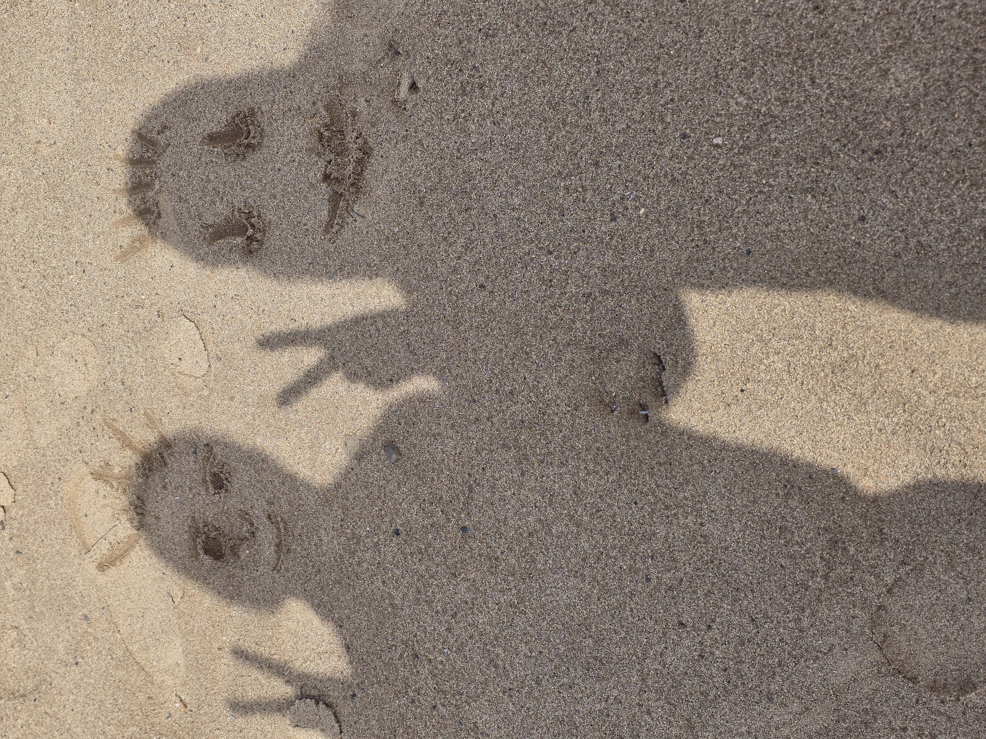 The scene shows a sandy surface, likely a beach, in an unknown location, featuring shadows of two individuals. The shadows suggest that both people are making hand gestures, with one appearing to make a "peace" sign. Smudges or intentional markings in the sand resemble faces within each shadow head. No clear evidence indicates the location as Chaikovsky, Russia.