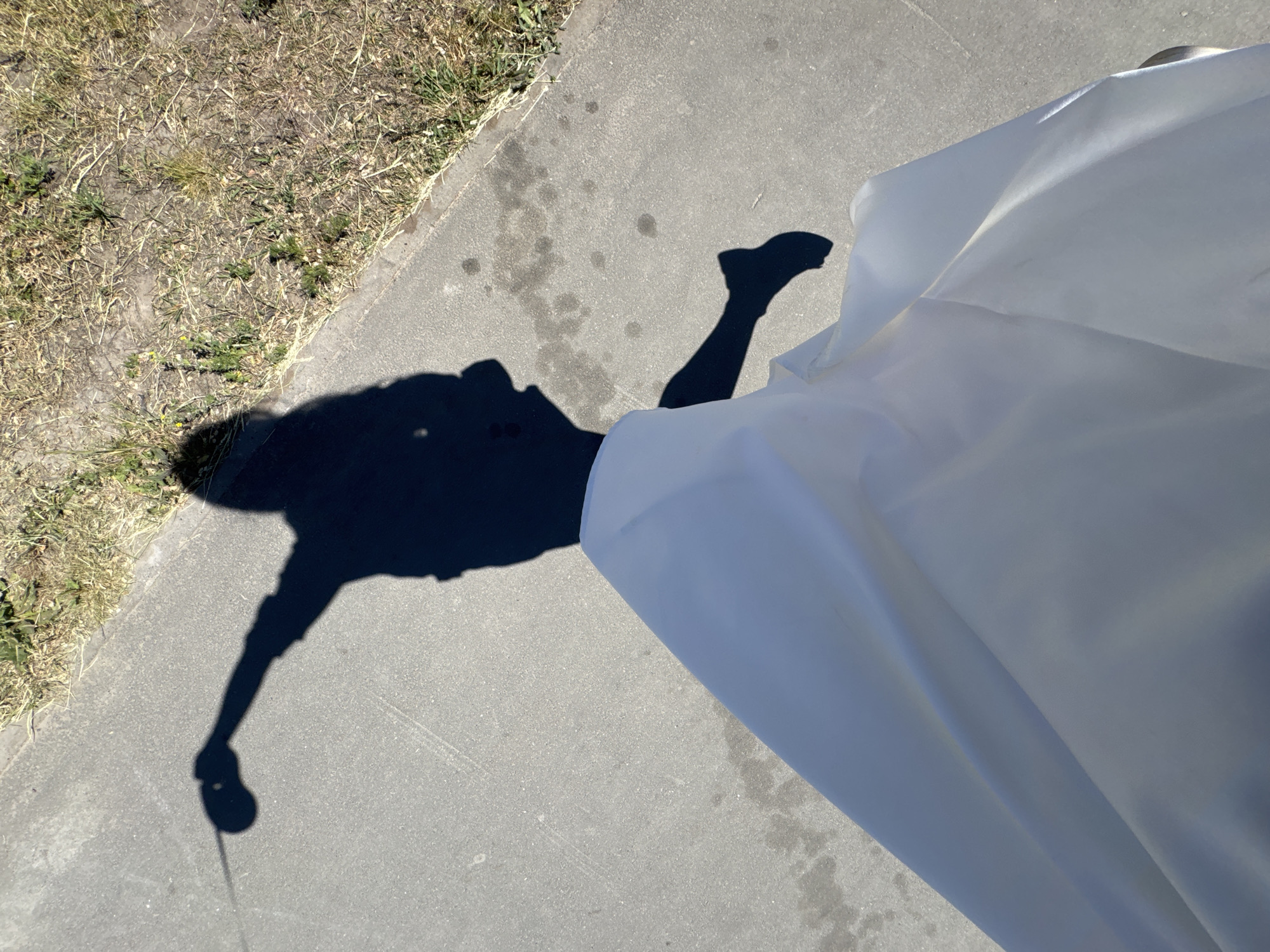 The image shows a partially obscured shadow of a person on a concrete sidewalk. The person is holding a round object in their hand, possibly a ball. The edge of a white, opaque material, possibly fabric, is visible in the right portion of the image, partially covering the person. A patch of grass and dry vegetation borders the sidewalk on the left. The location appears to be in an urban environment, although the specific city is unknown.