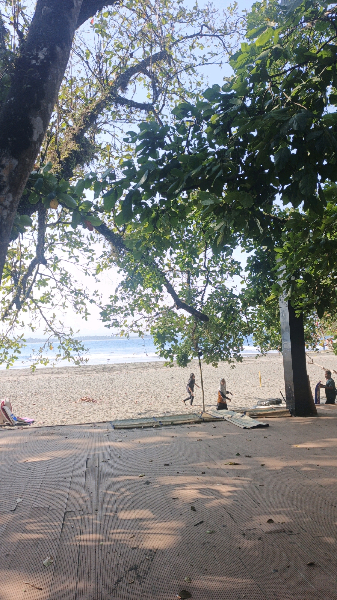 In Desa Batukaras, Indonesia, a sunlit beach scene unfolds, viewed from a wooden boardwalk. A large tree with lush green leaves dominates the foreground, its branches partially obscuring the view of the sandy beach and the ocean beyond. The beach is mostly empty, with a few individuals visible in the distance. Two young women are walking on the sand, one in dark athletic wear and the other in a headscarf and patterned clothing. Further down the beach, a person is seen standing next to a surfboard. On the boardwalk, several rolled-up mats are placed on the ground, possibly for seating. The ocean water is a clear blue, meeting the shore in gentle waves. The sky is a bright, cloudless blue. The overall atmosphere is serene and suggests a warm, tropical day.