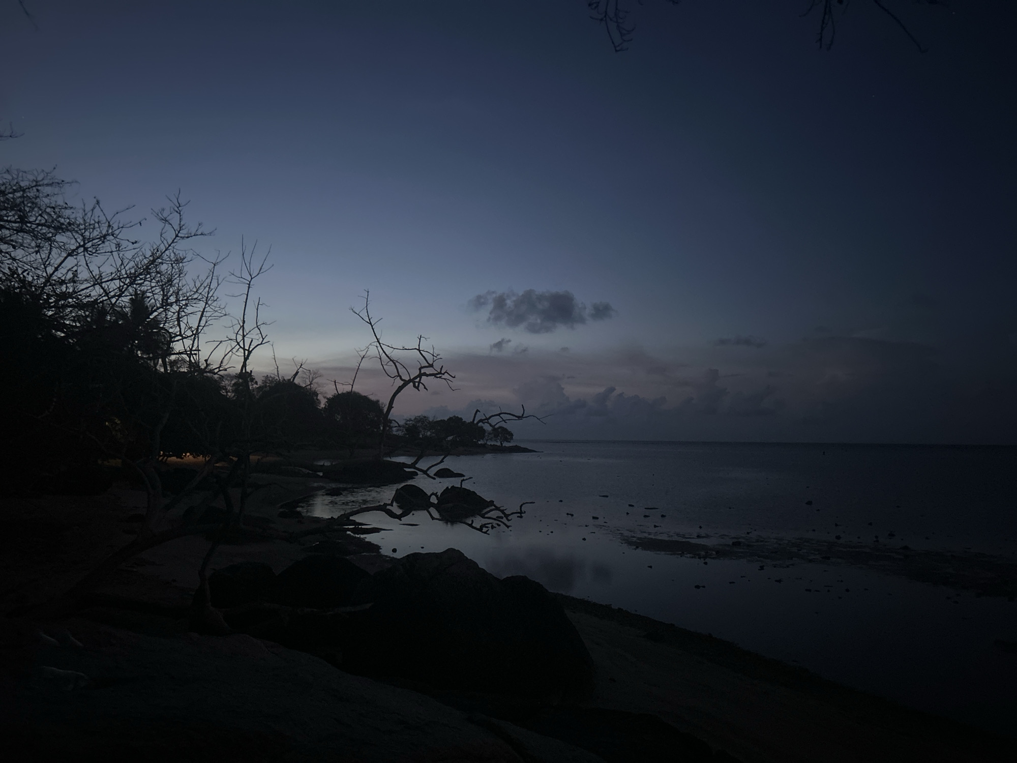 The image shows a coastal scene at dusk or dawn in Ban Bang Khao, Thailand. The sky is a gradient of dark blue to light purple with a few scattered clouds. The foreground is dominated by dark, silhouetted trees and rocks along the shoreline. The sea is calm and reflects the colors of the sky, creating a sense of tranquility. No people or other living beings are visible in the image.