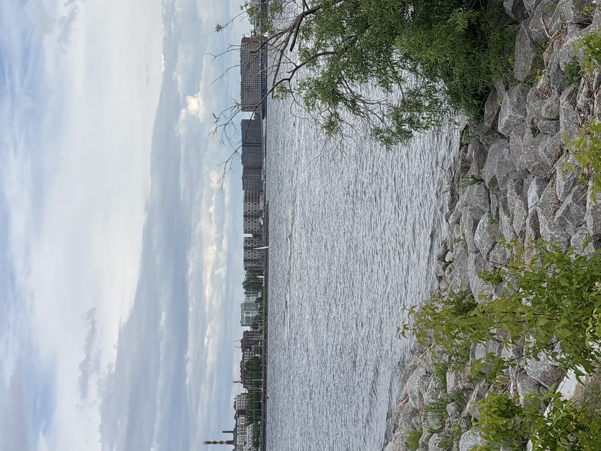 This image presents a wide, panoramic view of a large body of water bordered by a city skyline and a natural embankment. The sky, occupying the upper left quadrant, is a pale blue with scattered, wispy white clouds, indicating a partly cloudy daytime.
The expansive water surface, likely a river or bay, stretches across the middle of the frame, displaying numerous ripples and a textured, silvery appearance under the diffused light. On the far bank, a long and varied cityscape forms the distant horizon. This skyline features numerous multi-story buildings, appearing as a mix of residential and commercial structures, with some taller, slender constructions resembling industrial chimneys or modern towers visible towards the left. A small, distinct white bird is captured in flight or perched just above the water line in the mid-left area.
In the foreground, along the right side of the image, there is a rocky embankment made of large, grey, irregularly shaped stones. This natural barrier is interspersed with green foliage, including tree branches with leaves extending into the frame from the top and middle right, and smaller bushes and grasses growing between the rocks. The overall scene conveys a peaceful urban waterscape, likely during the daytime, with no specific human activity clearly visible. No discernible text is present in the image. Given the context, this is a view from a waterfront in Saint Petersburg, Russia.