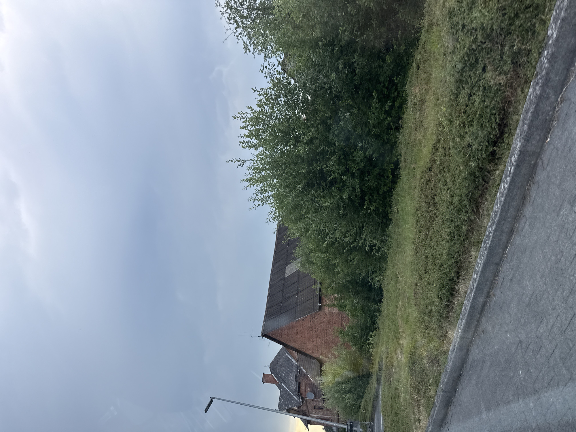 An exterior, medium shot captures a rural scene in Brandoberndorf, Germany. A paved road with a concrete curb runs along the bottom of the frame, bordered by a grassy embankment overgrown with green foliage. Behind the embankment, a large, dense cluster of green trees dominates the midground. Partially obscured by the trees are two brick buildings with dark, sloping roofs. A tall, silver streetlamp stands on the left side of the frame, its light obscured by the overcast sky. The sky itself is a muted gray, indicating cloudy or inclement weather. No people or animals are visible in the image.