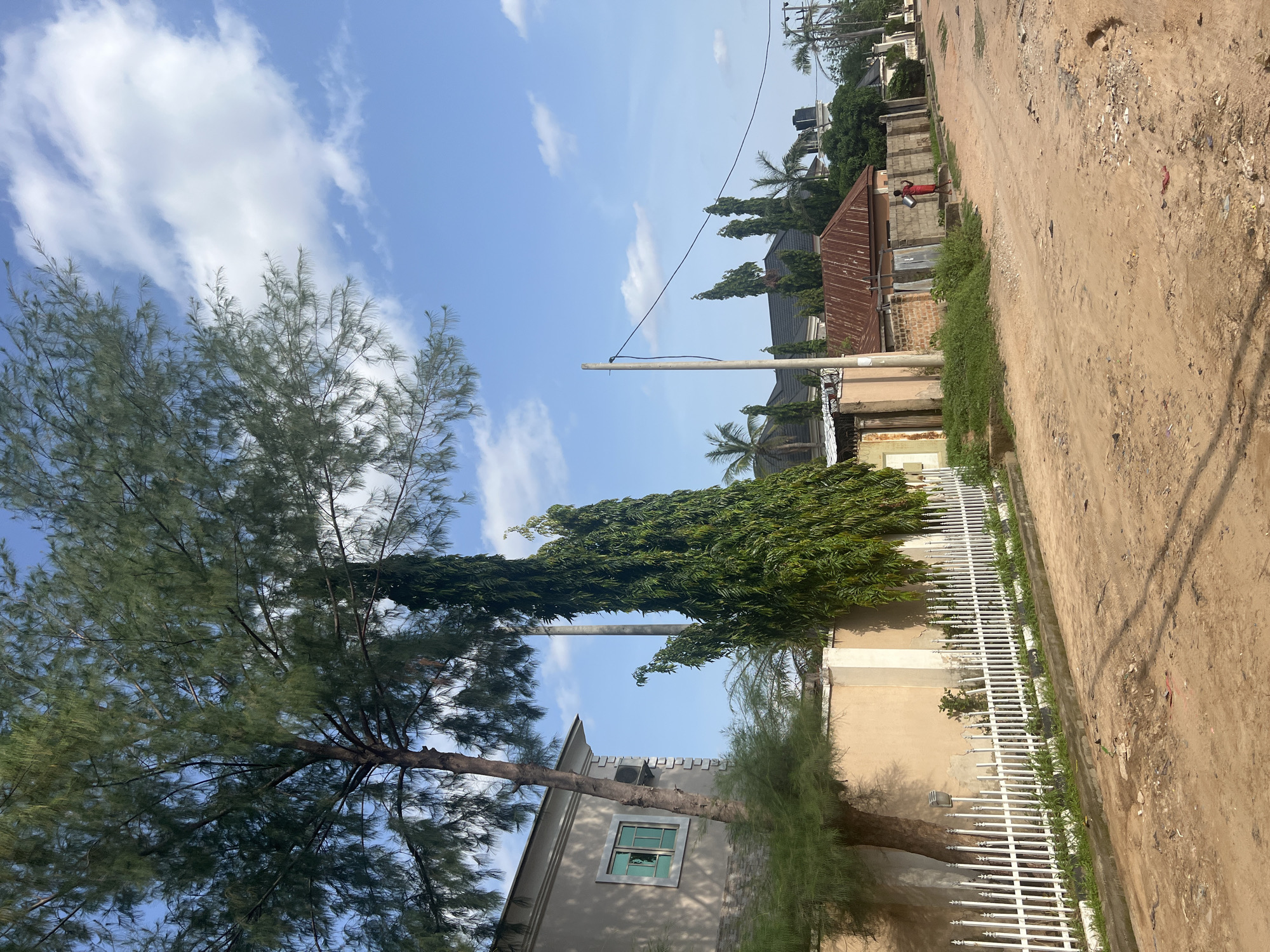 This image depicts a street scene in Jalingo, Nigeria. A dirt road with some potholes runs diagonally from the lower right to the upper left of the frame. On the left side of the road, a light-colored building with a white decorative fence is visible. Behind the fence, there is a beige wall and a large evergreen tree. To the right of the road, there are several buildings with various roof types, including corrugated metal and what appears to be shingles. Some of these structures are partially obscured by trees, including palm trees and tall, slender evergreen trees. A person wearing a red dress and carrying a bucket is walking away from the camera on the right side of the road, near a brick wall. Overhead, a bright blue sky is dotted with white, fluffy clouds. Telephone poles and wires are present along the street. The overall environment suggests a residential area with unpaved roads and a mix of modern and older building styles.