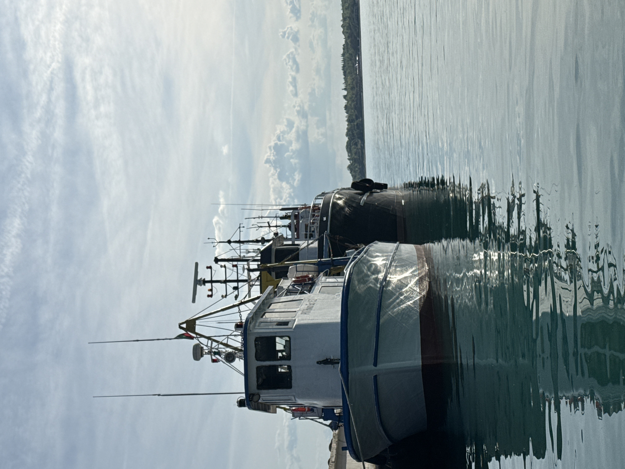 The image shows a row of fishing boats moored at a quay in Nesebar, Bulgaria. The boats are of varying sizes and colors, with masts and other equipment visible. The water is calm and reflects the boats and the sky. The sky is partly cloudy, with blue patches visible. In the distance, a forested shoreline can be seen.