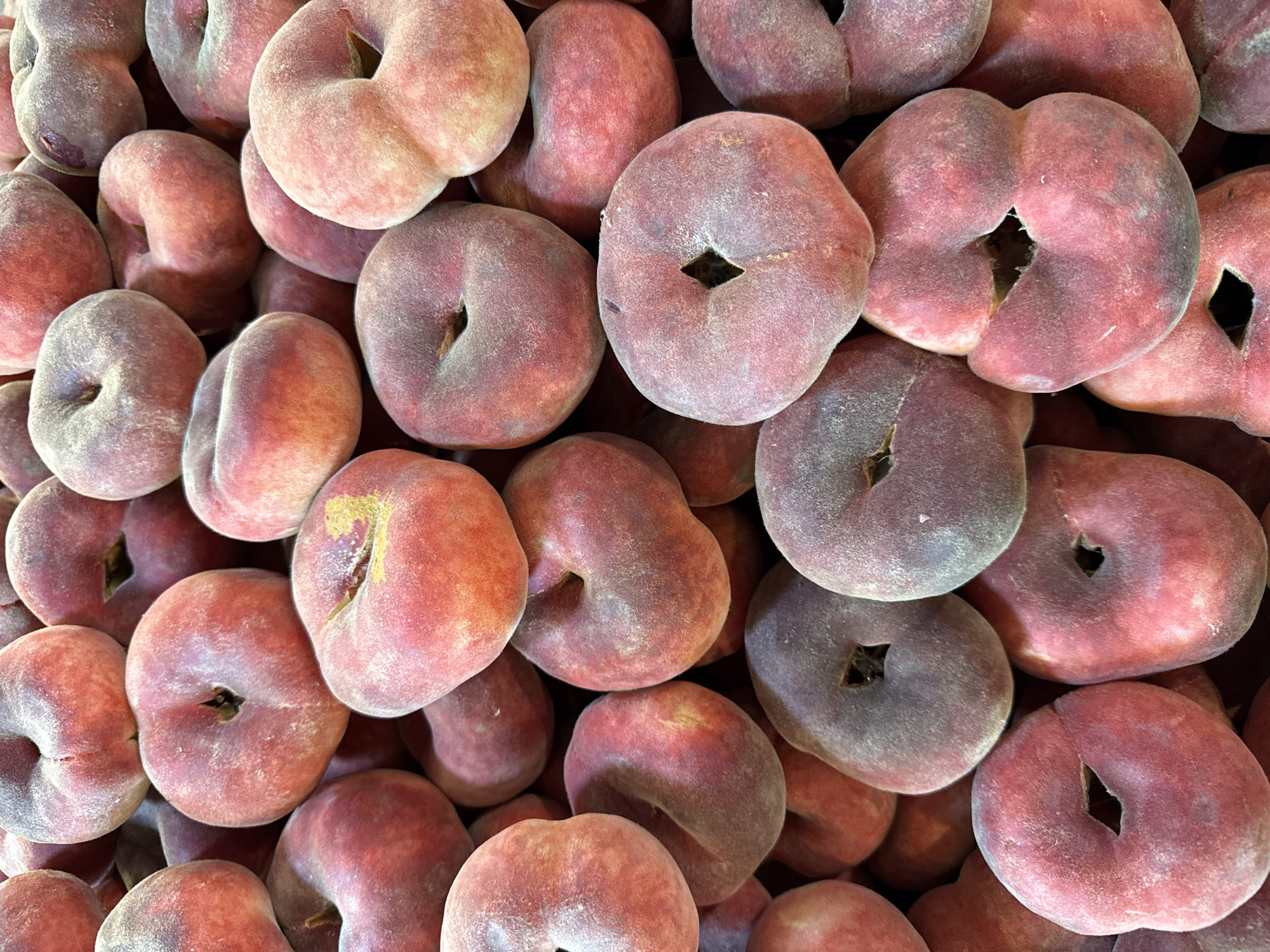 A close-up, overhead view displays a dense pile of Saturn peaches, also known as flat peaches or doughnut peaches, at a market stall in Lokbatan, Azerbaijan. The peaches exhibit a characteristic flat shape with a pronounced indentation or pit cavity. Their skin displays a gradient of colors, ranging from deep red and pink to lighter shades of blush and cream, with a velvety texture visible due to a fine fuzz. Some peaches show slight imperfections, such as minor blemishes or bruises, consistent with fresh produce. The lighting is even, highlighting the textured surfaces and rich colors of the fruit. No people or other objects are discernible in the frame, focusing solely on the abundance of peaches.