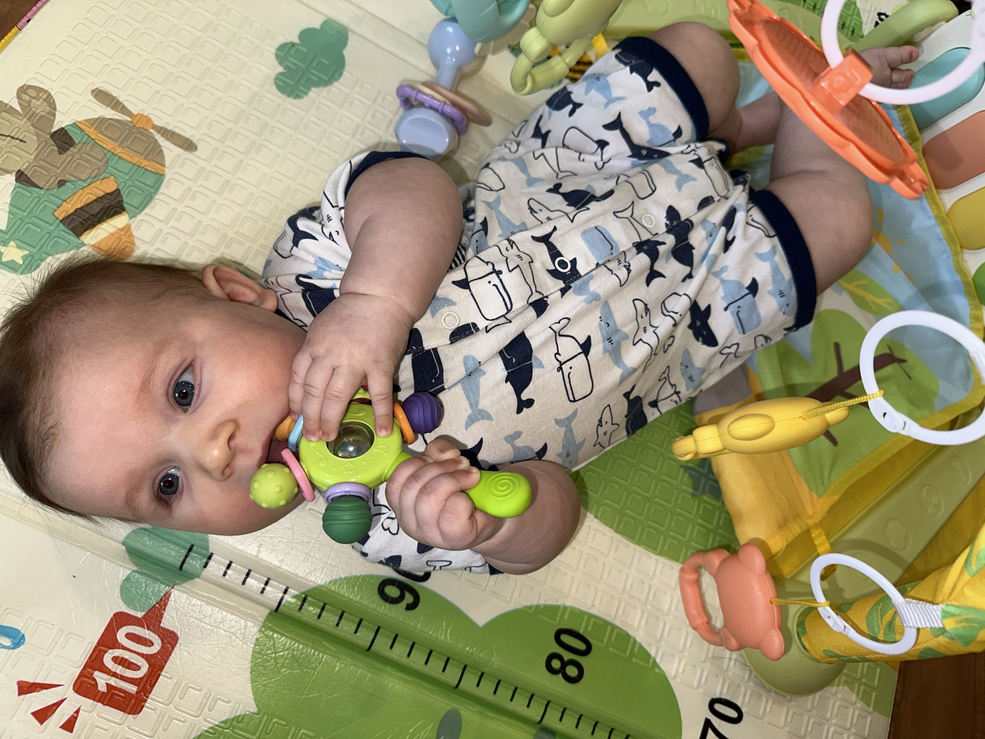 A baby lies on their back on a playmat. The baby is wearing a patterned romper with dark blue trim and has a green and purple toy in their hands. The playmat has a measurement scale on it, and there is a play gym with hanging toys next to the baby. The location is not discernible from the image.