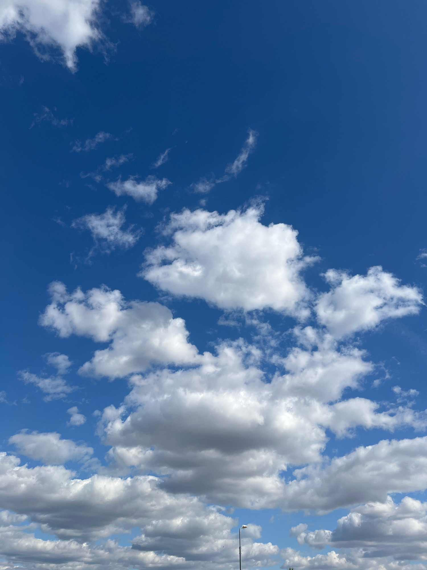 The image depicts a bright, clear blue sky with scattered white cumulus clouds. The clouds vary in size and density, with some appearing wispy and thin, while others are more voluminous and well-defined. The bottom portion of the image shows a distant, blurred horizon with a hint of greenery and structures, suggesting an outdoor urban or suburban environment. A single, dark-colored lamppost is visible on the right side of the frame, extending upwards towards the sky. The overall lighting indicates it is daytime, likely a sunny or partly cloudy day. The image is a vertical composition focusing on the sky and clouds. No specific details about Kostanay, Kazakhstan, are discernible from the image itself; it is a general scene of a sky.