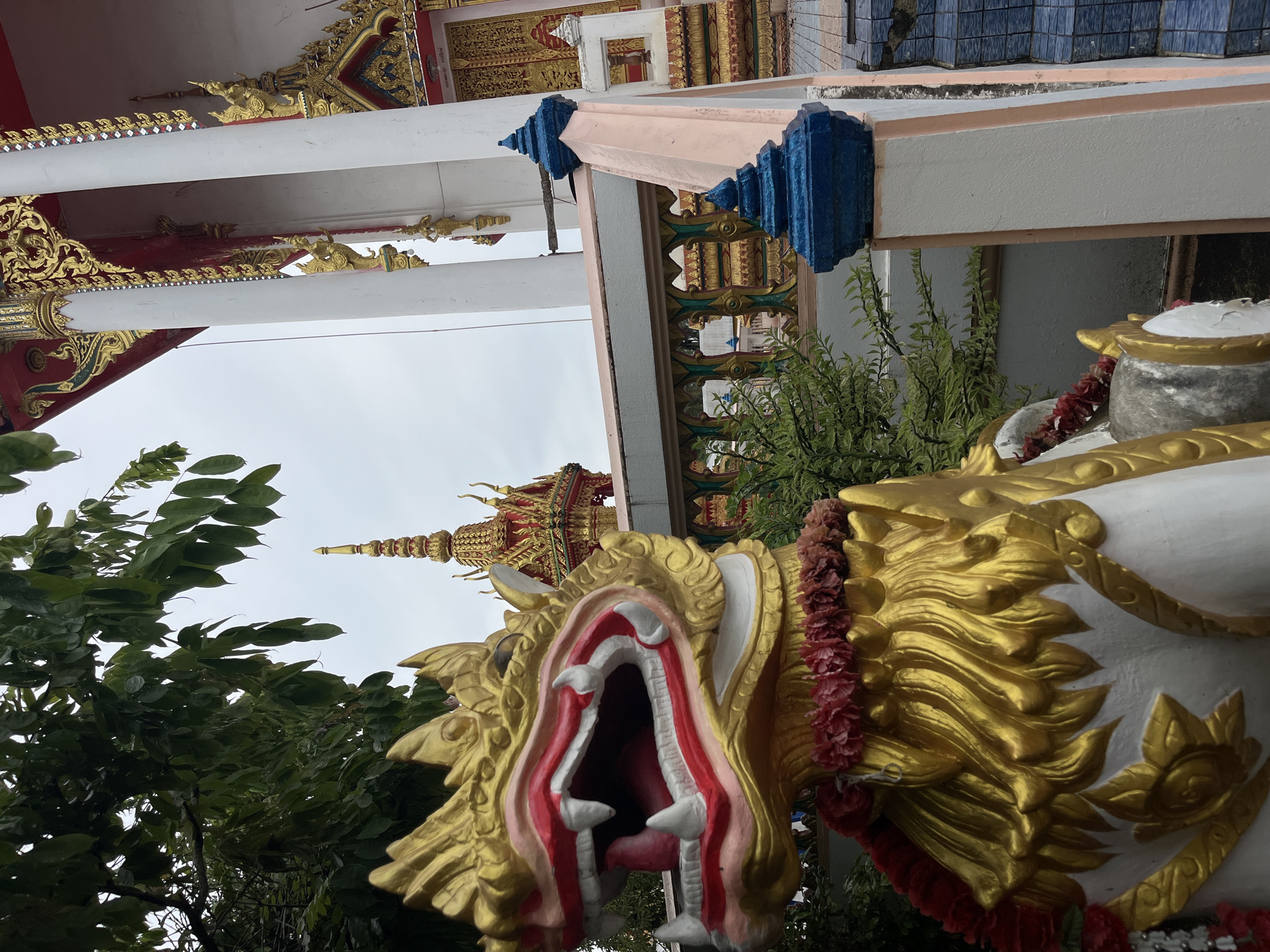 This image, taken in Si Sunthon, Thailand, features a close-up view of a golden, mythical creature statue with its mouth open, revealing red and white details within. A red floral garland is draped around its neck. Behind the statue, a temple structure with ornate golden detailing and white pillars is visible, along with a glimpse of a tiered golden spire. Green foliage frames the left side of the scene. The sky is overcast, suggesting a cloudy day. The perspective is from a low angle, emphasizing the statue and the temple architecture.