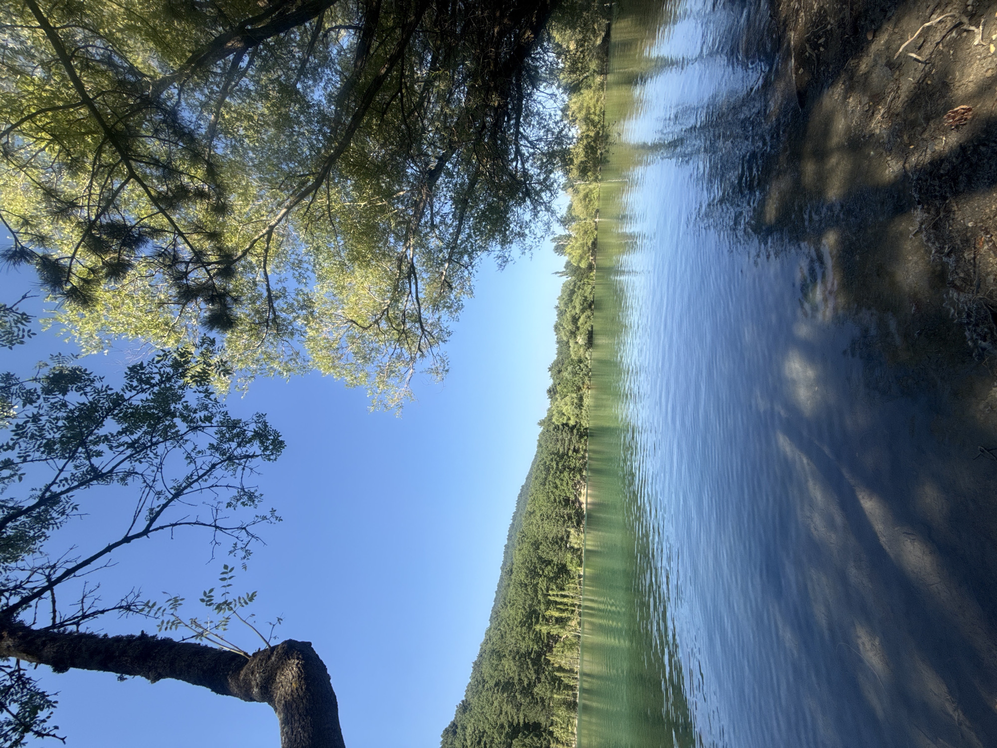 The image depicts a serene natural scene at the reservoir in Zaprudnoe, Ukraine. The foreground is dominated by the tranquil water of the reservoir, which reflects the clear blue sky and the surrounding lush greenery. Sunlight filters through the leaves of large trees that overhang the water's edge, casting dappled shadows on the sandy shore and the submerged ground. The far bank of the reservoir is lined with a dense, verdant forest that slopes upwards, meeting the bright blue sky. The overall impression is one of peaceful, natural beauty on a sunny day. There are no people or man-made structures visible in the scene, emphasizing the untouched, wild character of the location.