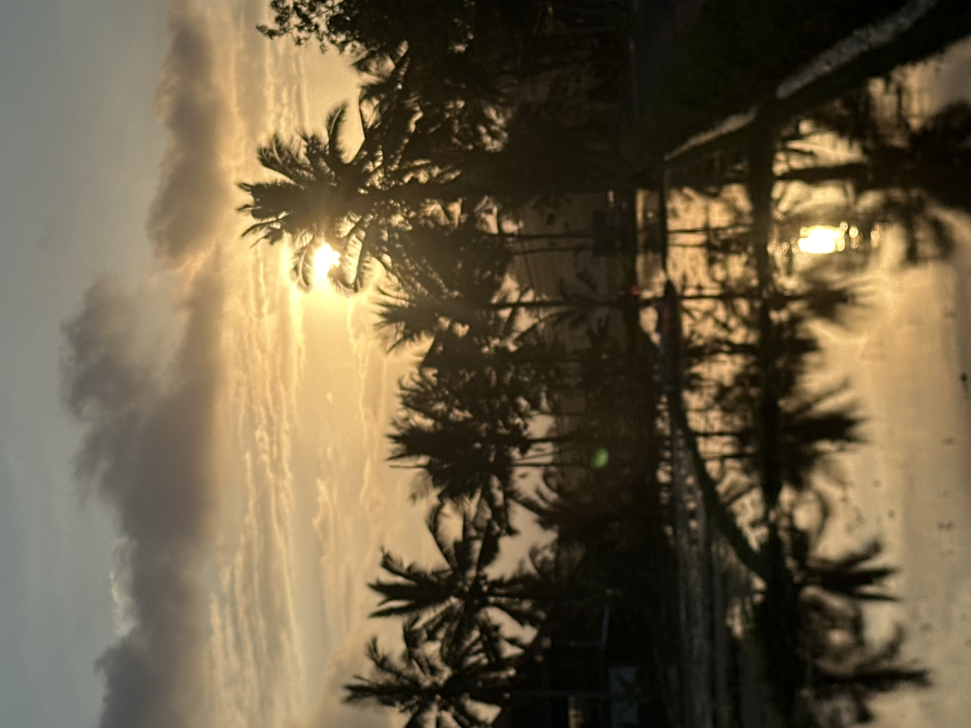 This image captures a serene sunset scene, with silhouetted palm trees against a sky filled with wispy clouds illuminated by the setting sun. The sun's rays are bright and diffused, creating a warm, golden glow that reflects on a body of water, possibly a canal or river, in the foreground. The reflection shows the shadowy forms of the palm trees and structures, adding depth and mirroring the sky's beauty.
The overall mood is tranquil and peaceful, evoking a sense of the end of the day in a tropical setting. The location cues, such as the palm trees and the reflection in the water, combined with the provided context of Ubud District, Indonesia, suggest a lush, possibly rural or semi-rural environment. The time of day is clearly sunset, indicated by the low angle of the sun and the warm, golden light. There is no visible text in the image. The activity taking place is simply the natural progression of the day into evening.